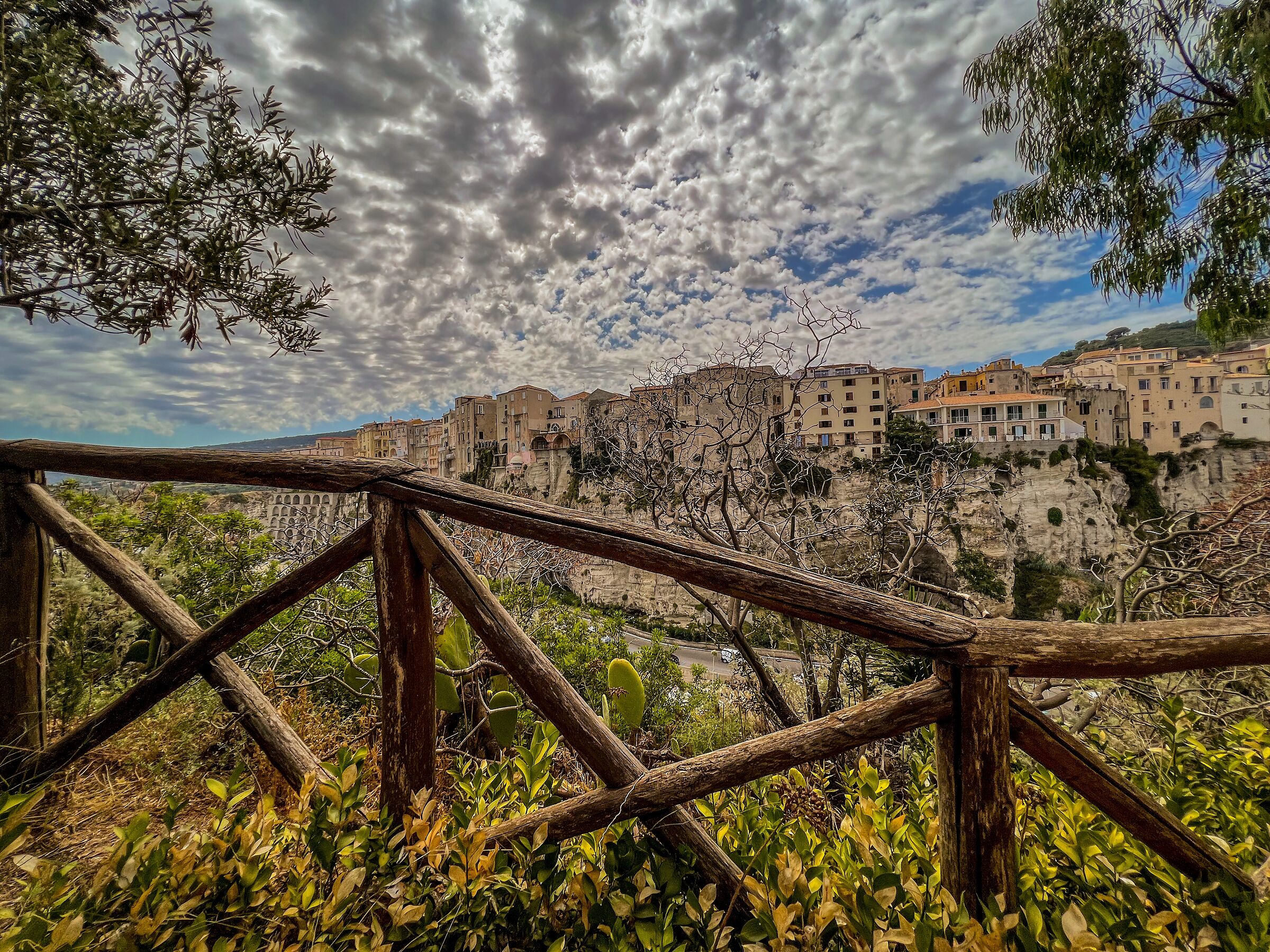 tropea