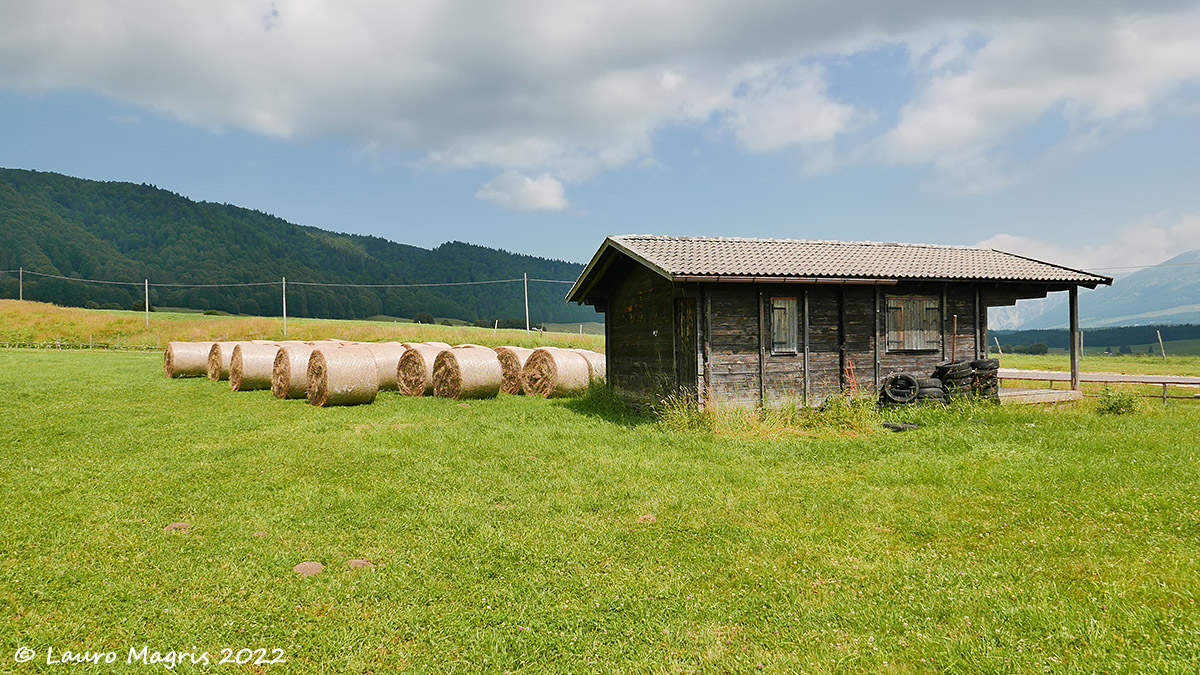 Bales in the sun