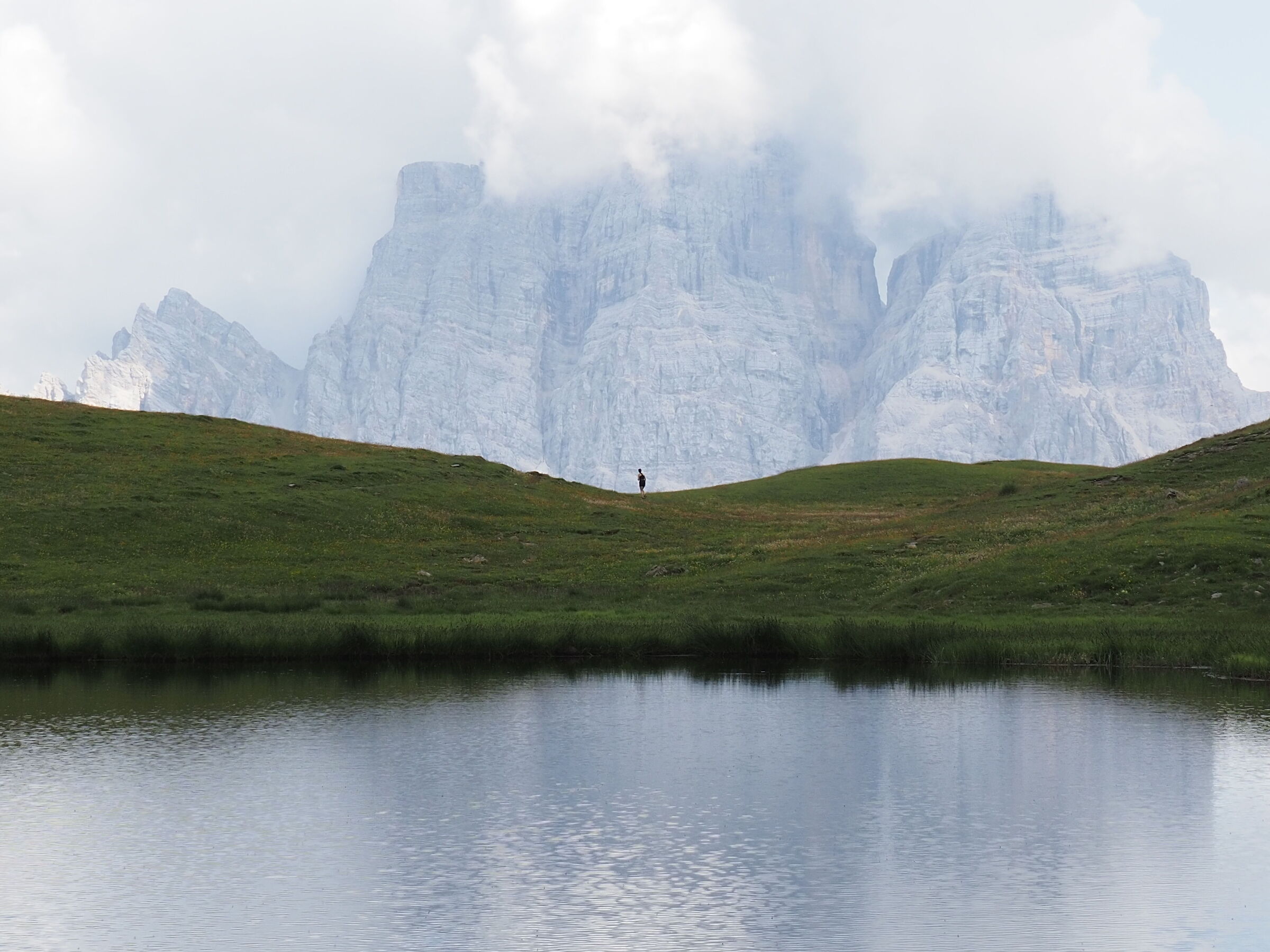 The ant and the giant