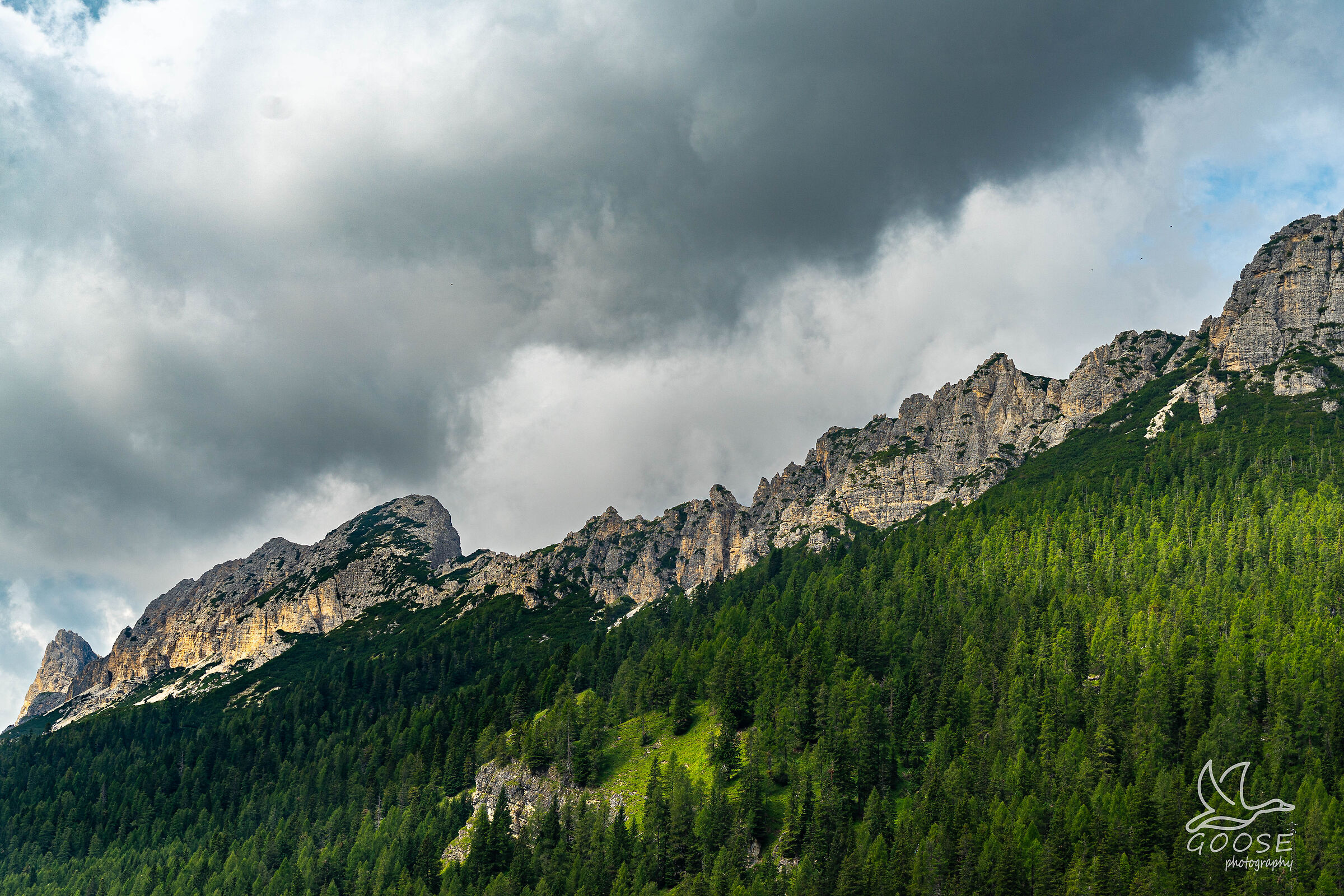 mountain view