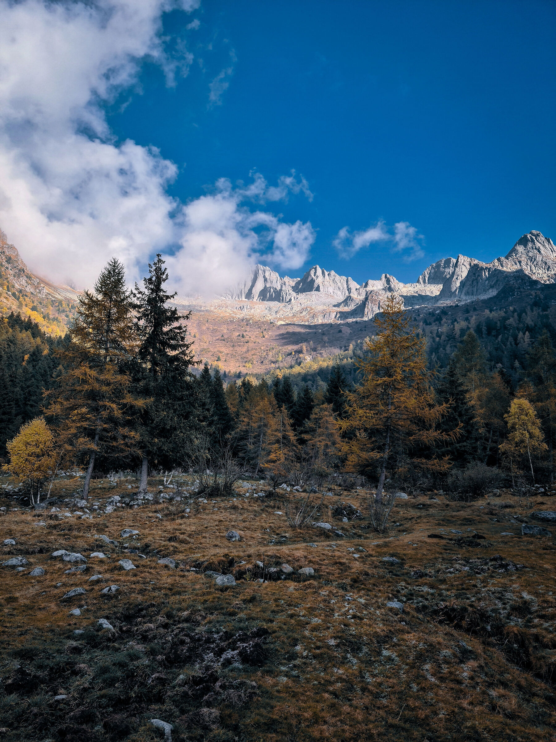 Da qualche parte nei monti