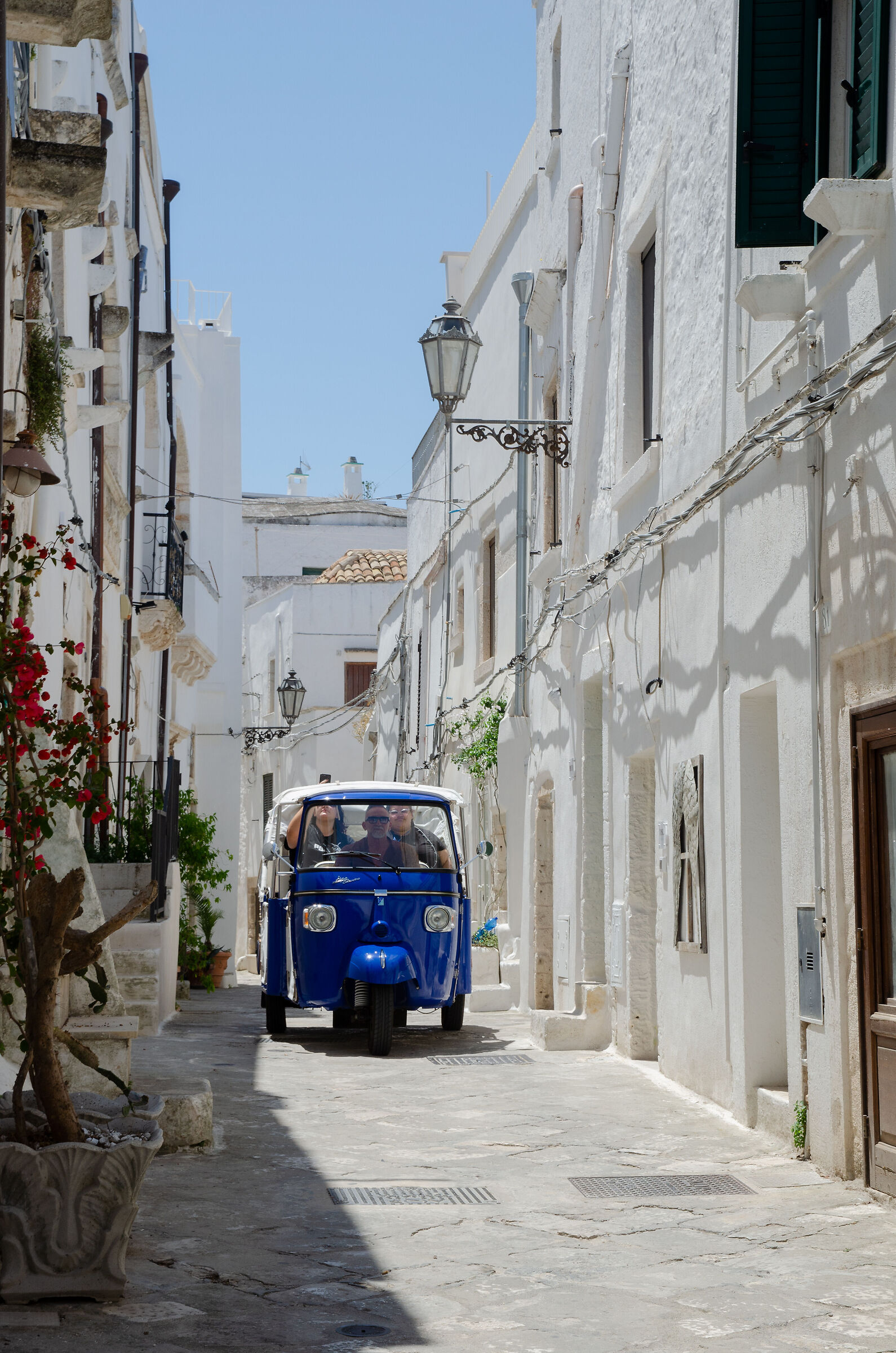 Un'ape blu nella città bianca