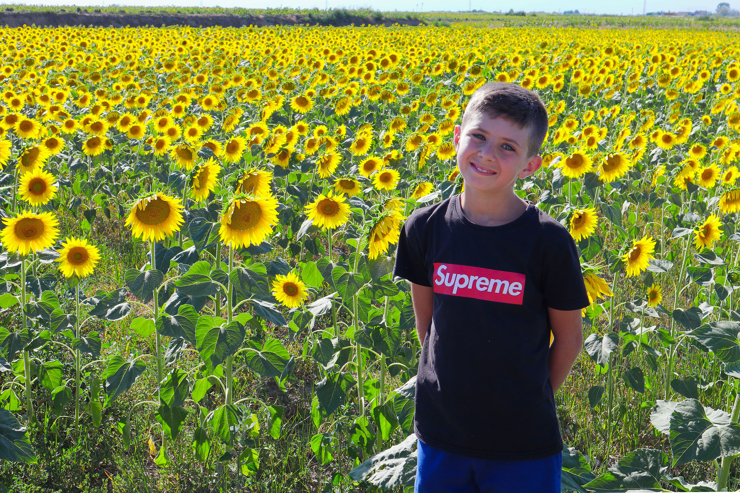 In the middle of yellow