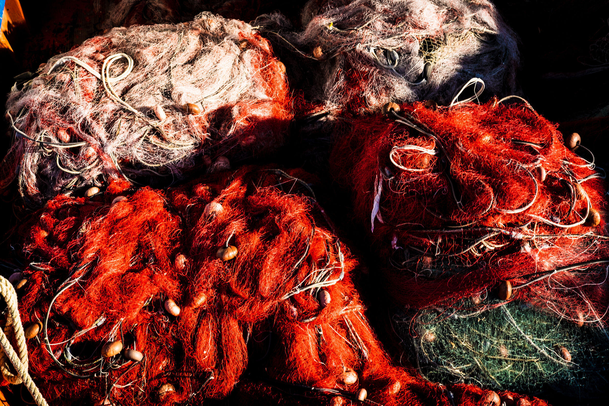 Nets in the sun