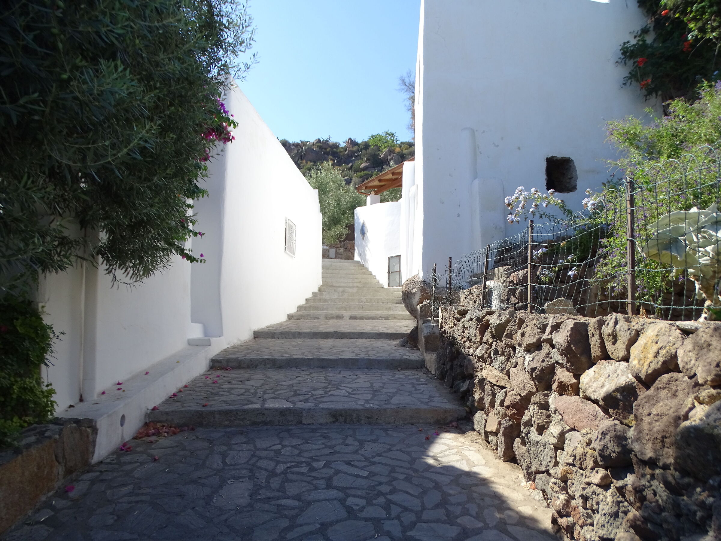 glimpse of Panarea