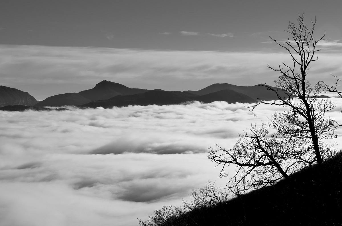 the valley of clouds