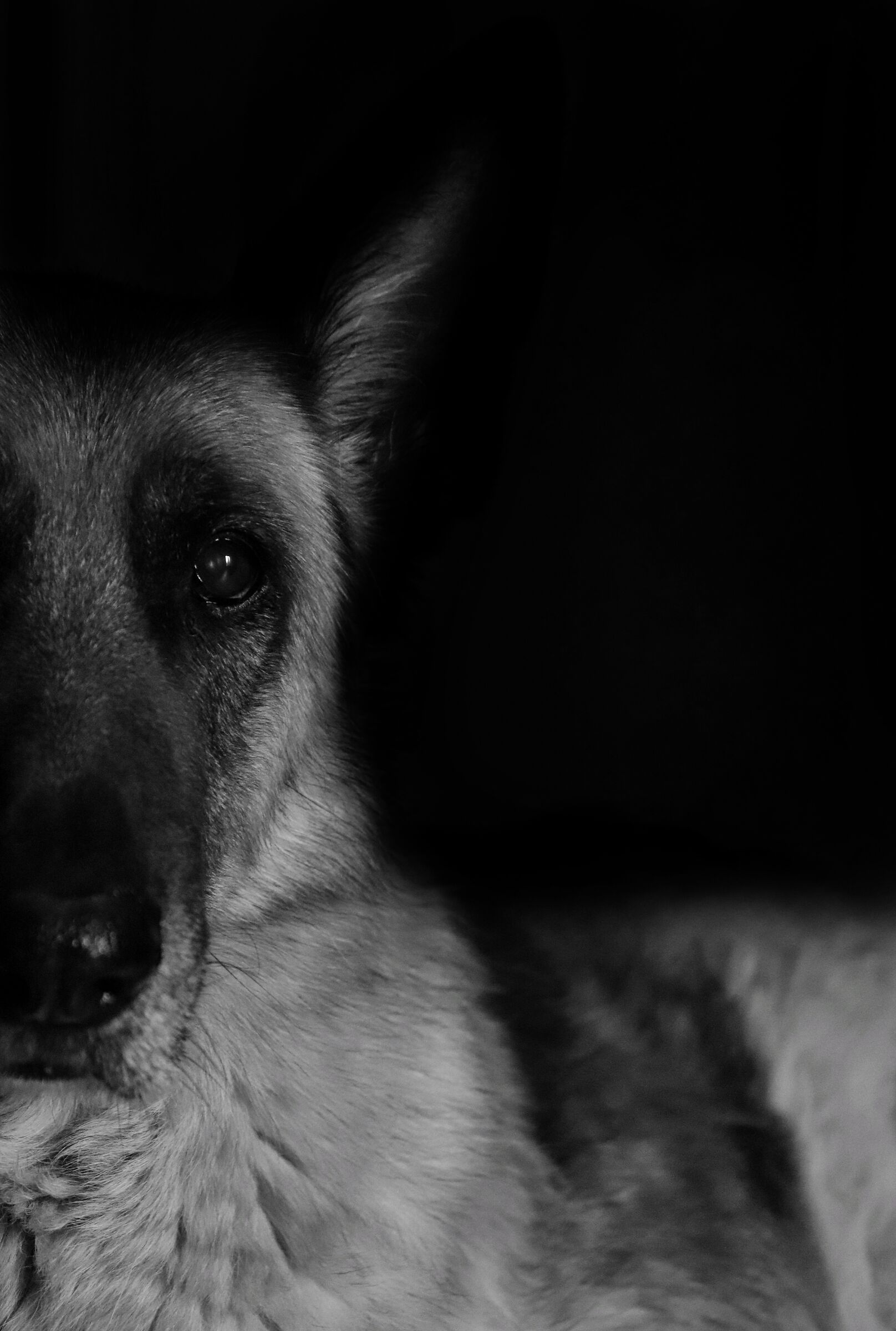 Intense gaze