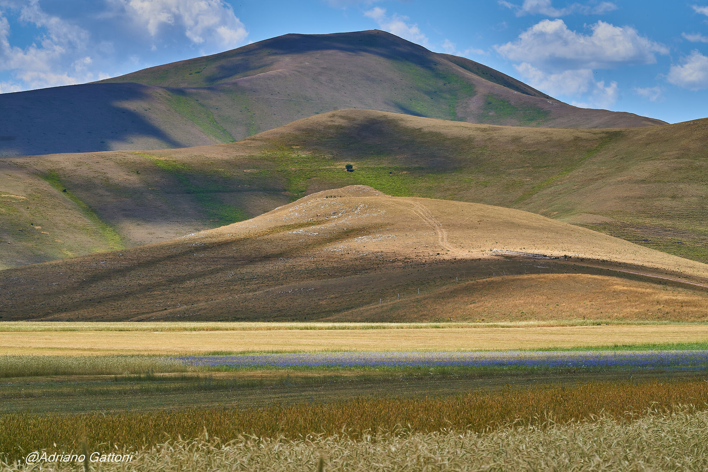 Castelluccio 2022