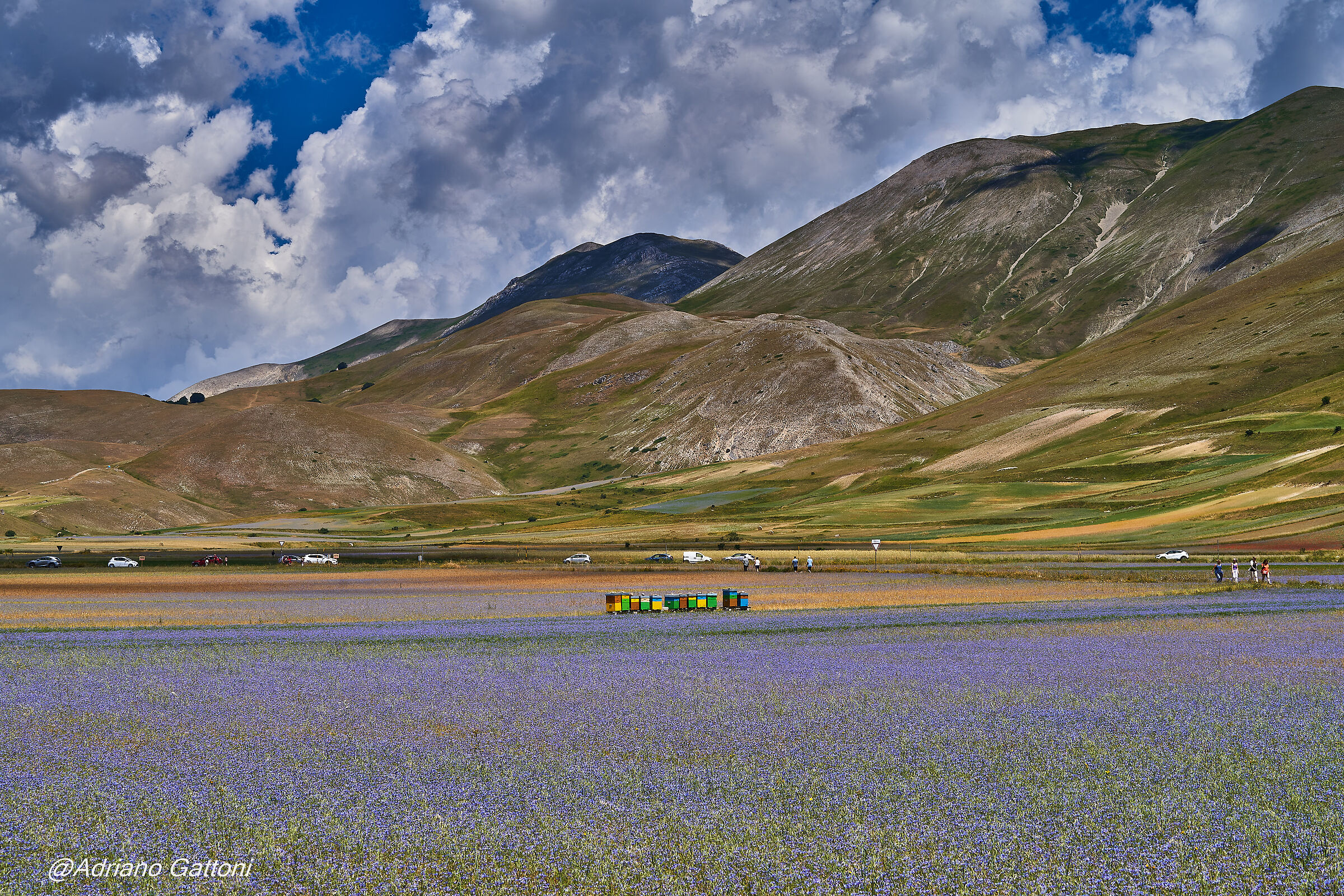 Castelluccio 2022
