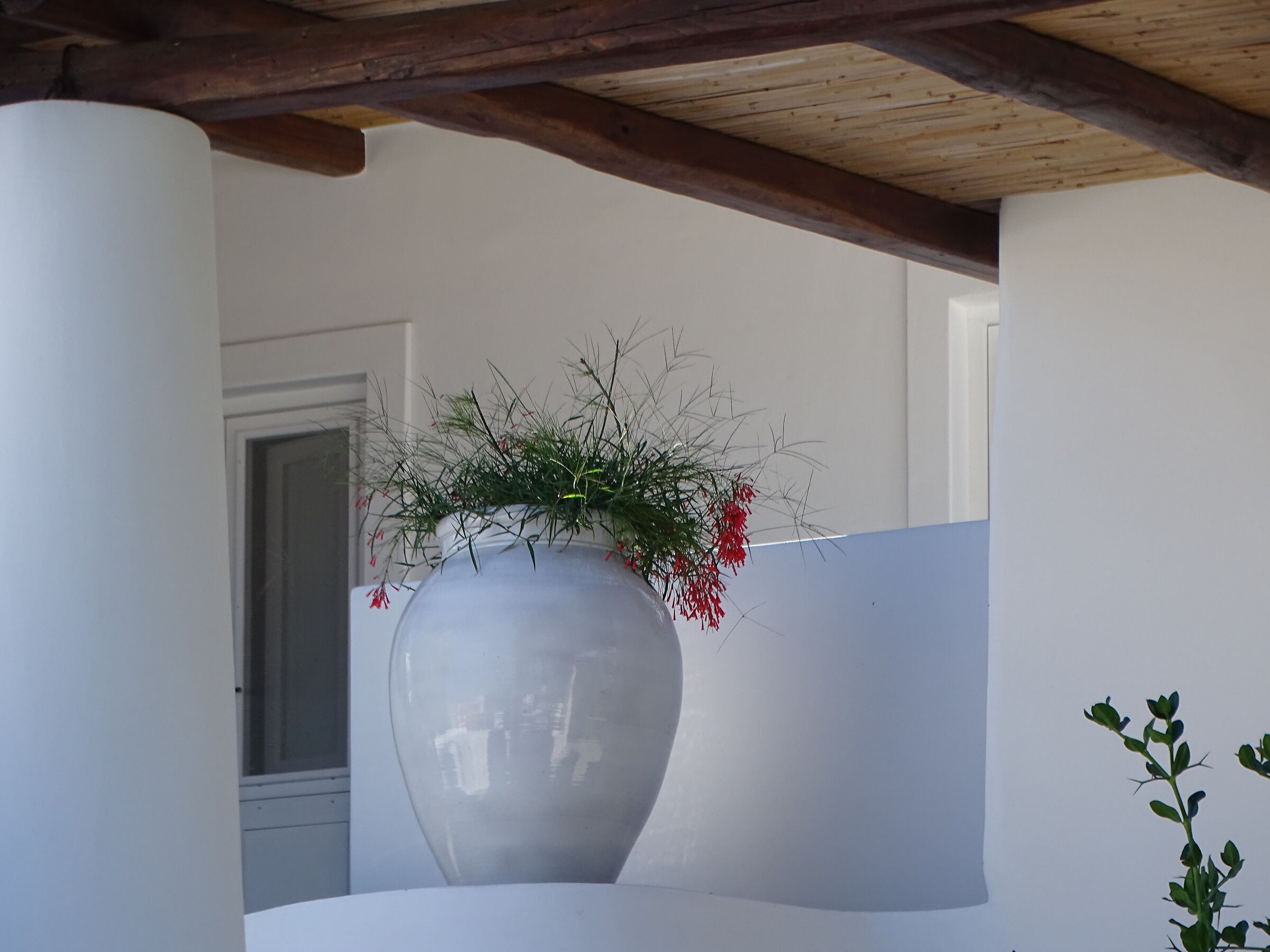glimpse of Panarea