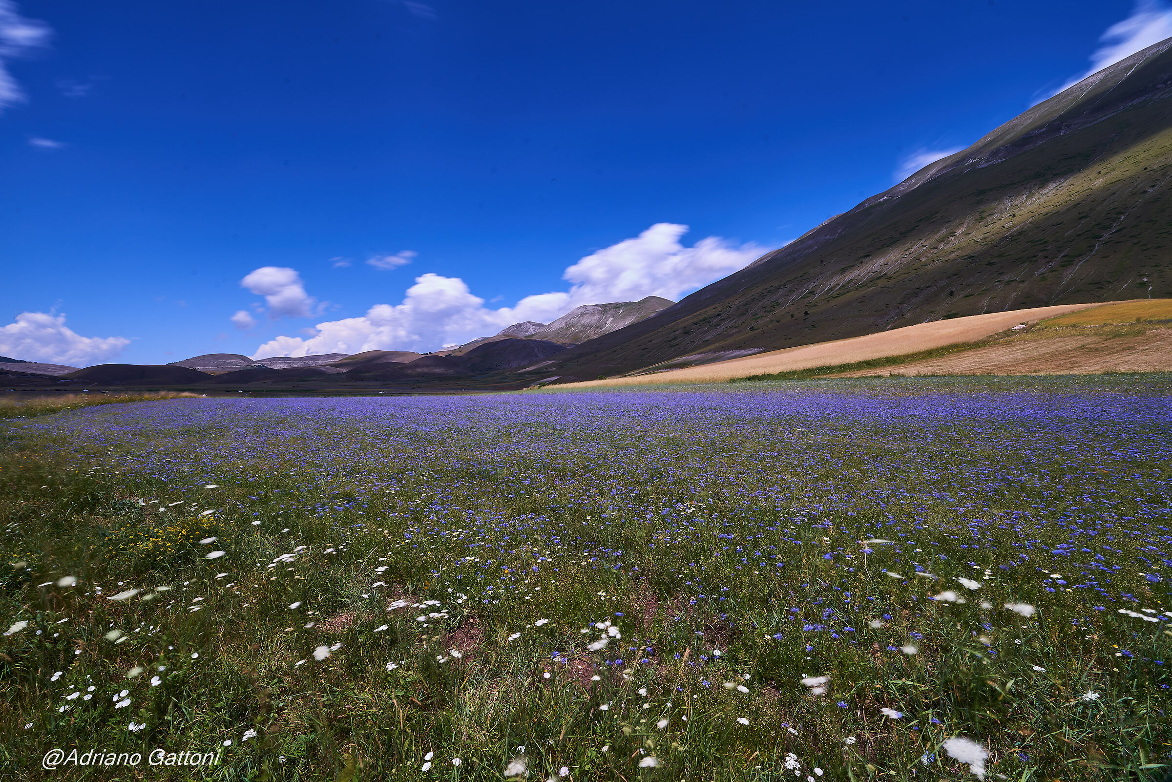 Castelluccio 2022
