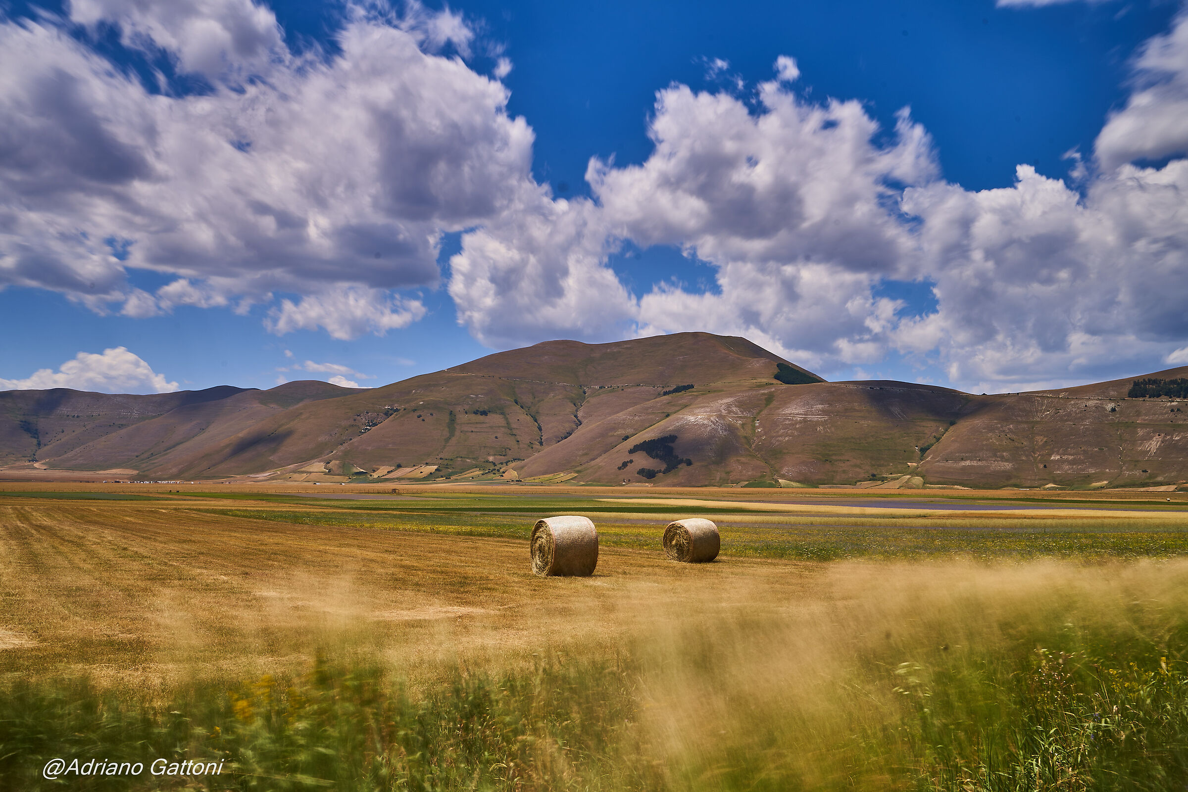 Castelluccio 2022