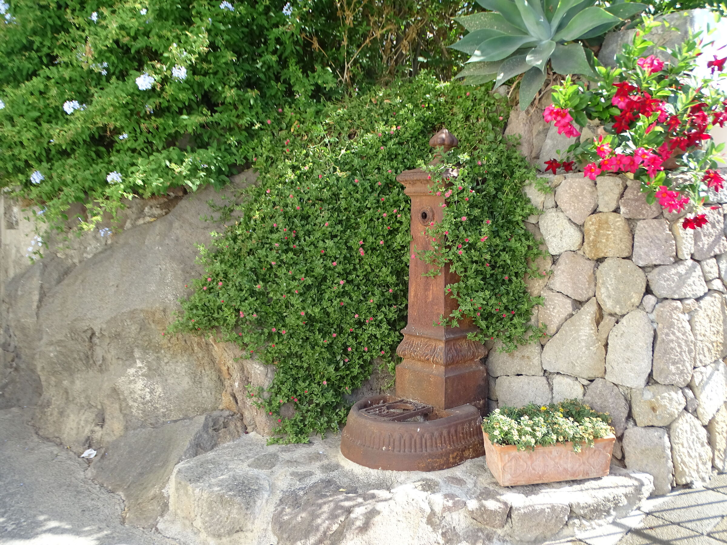 glimpse of Panarea