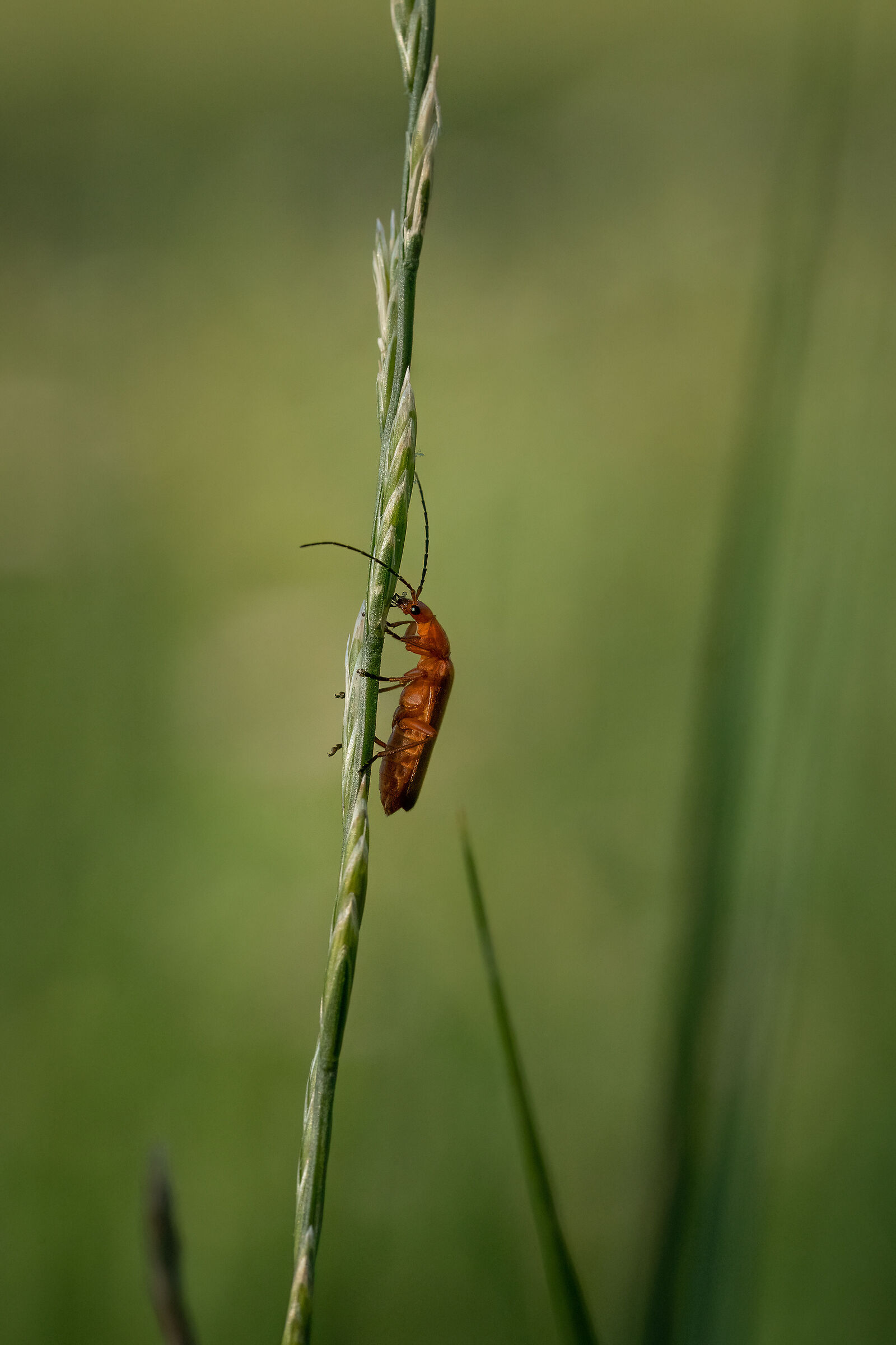 In the face of privacy