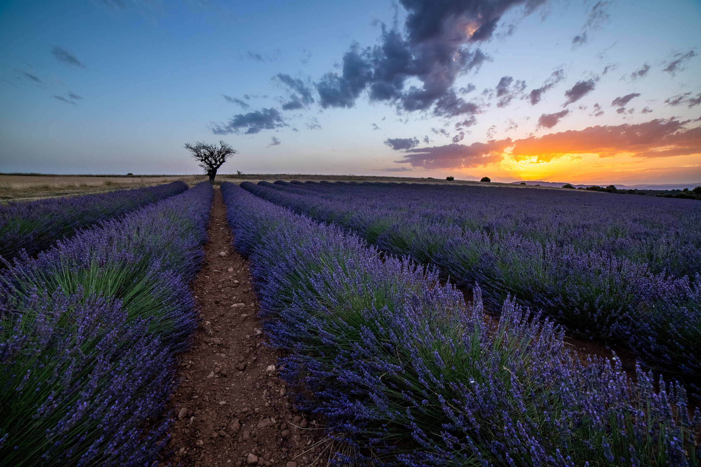 Le coucher de soleil à Valensole