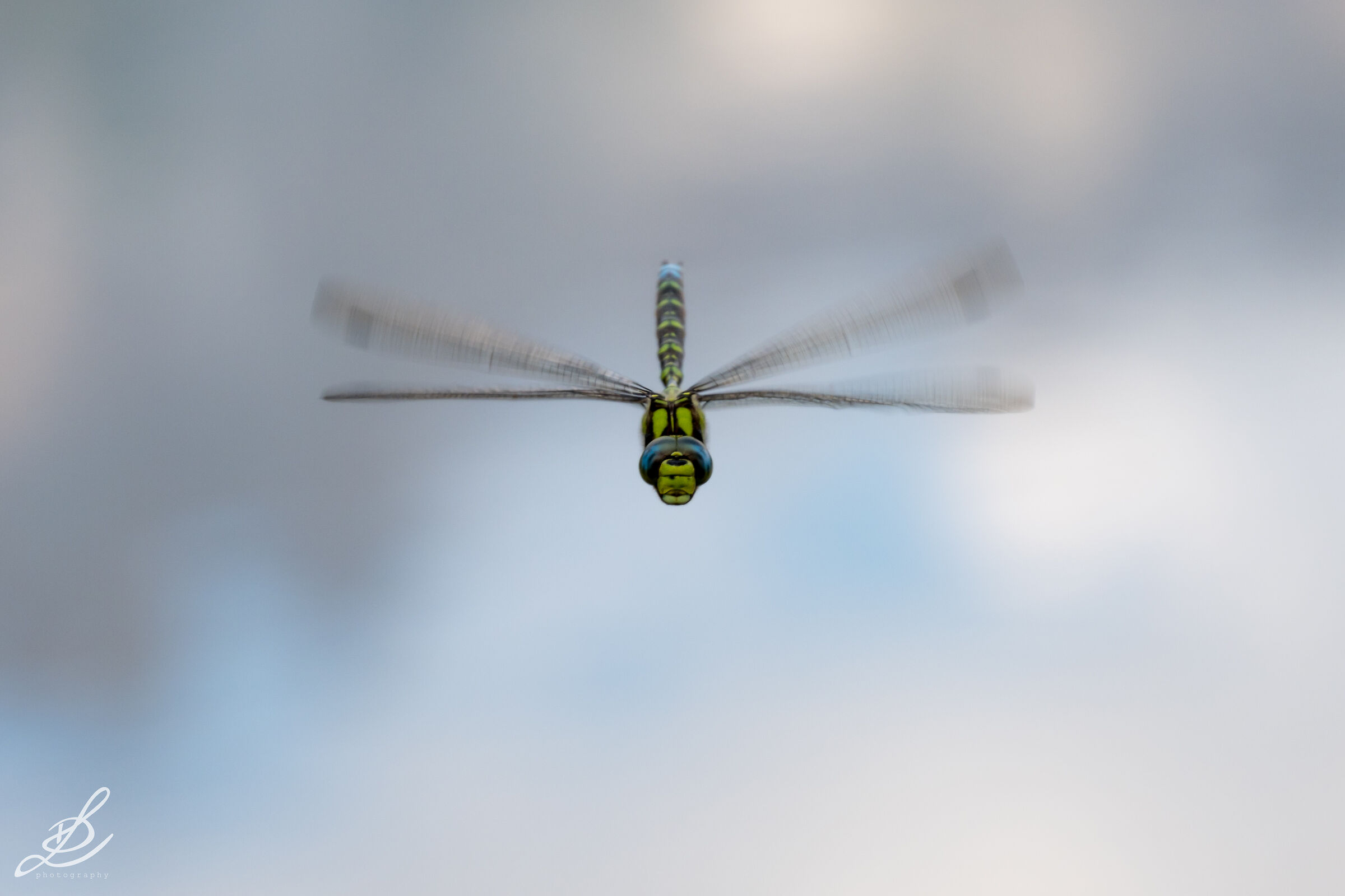 Dji mini 4 fly more combo