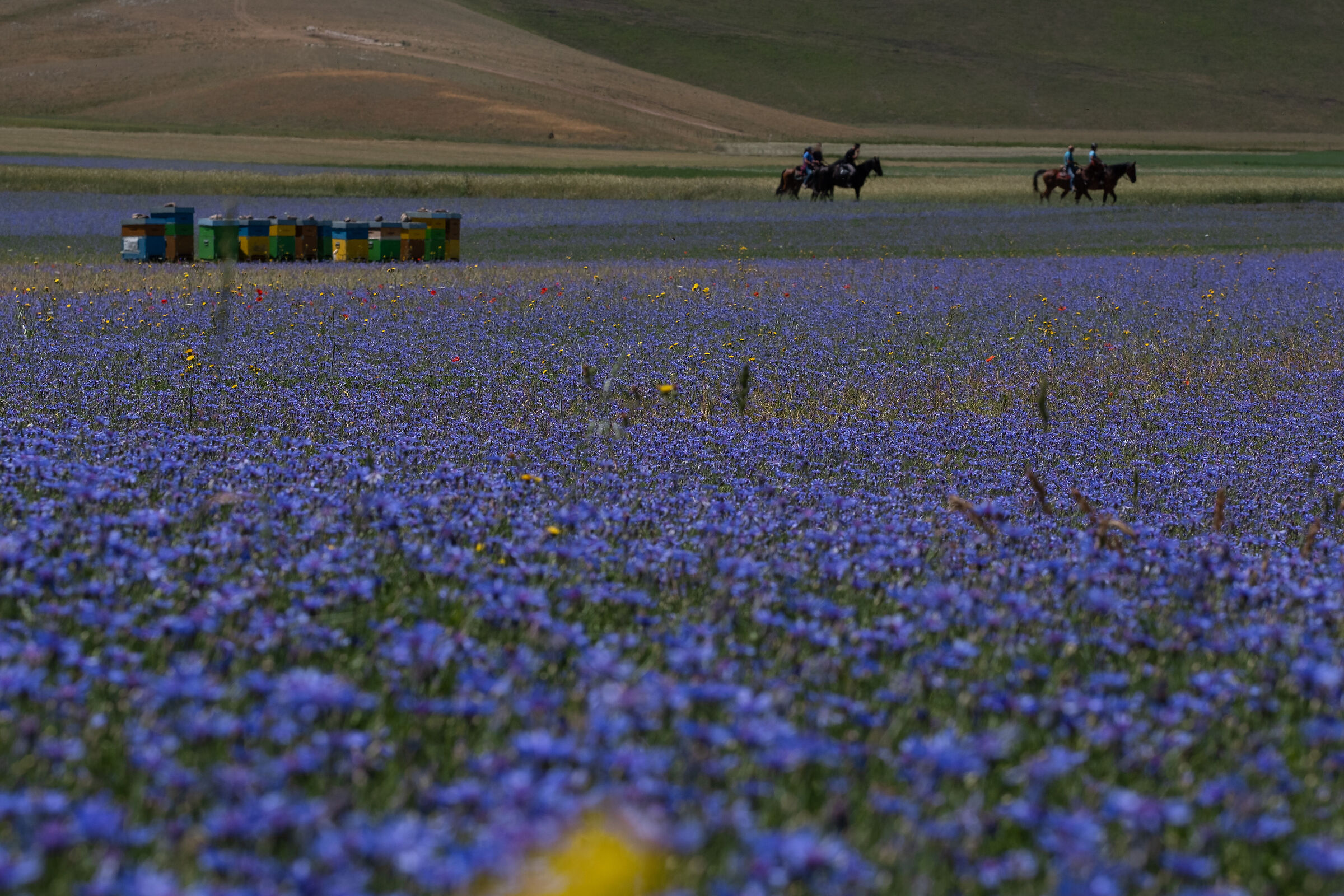Castellucccio di norcia