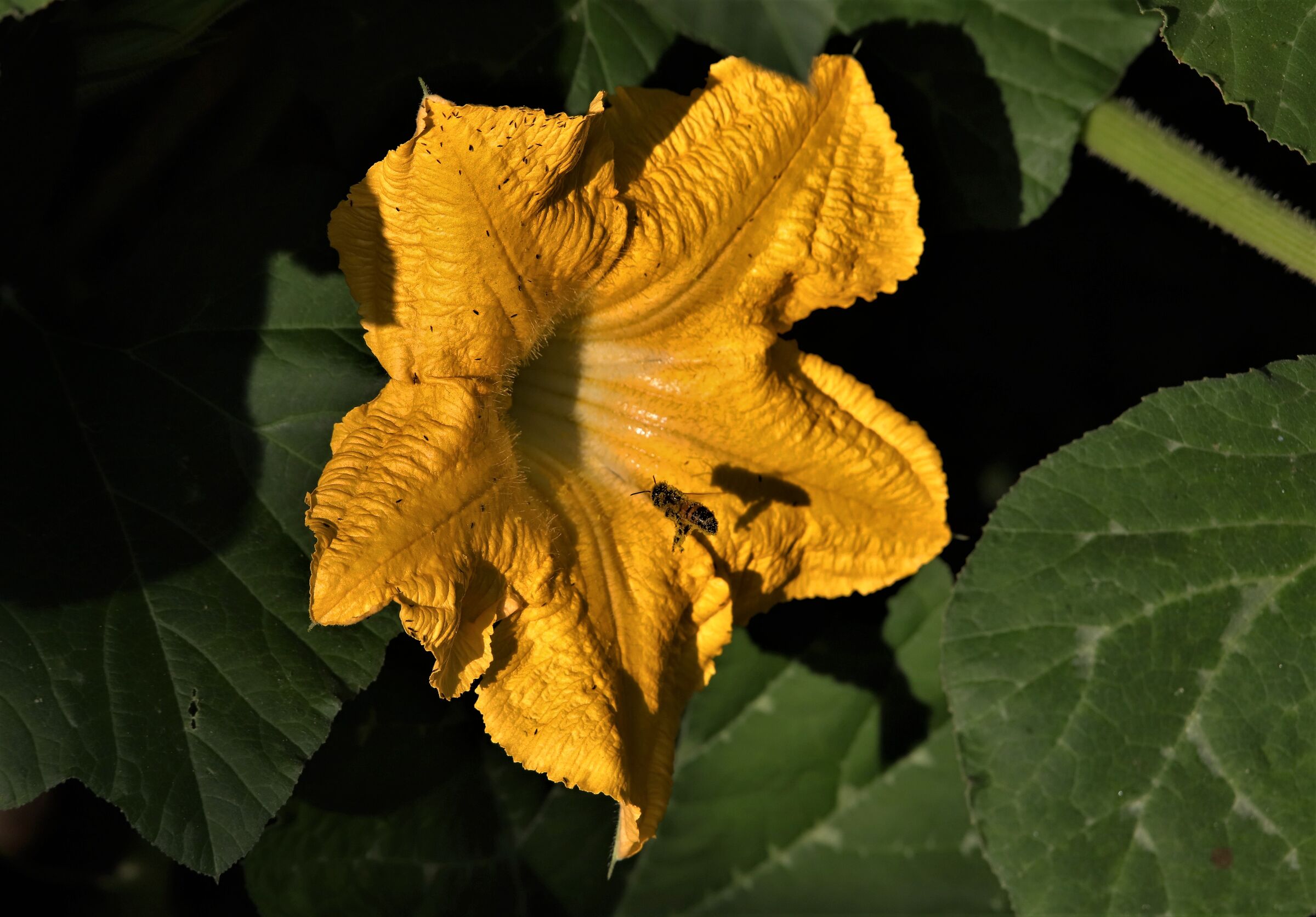 l'imbocco del tunnel