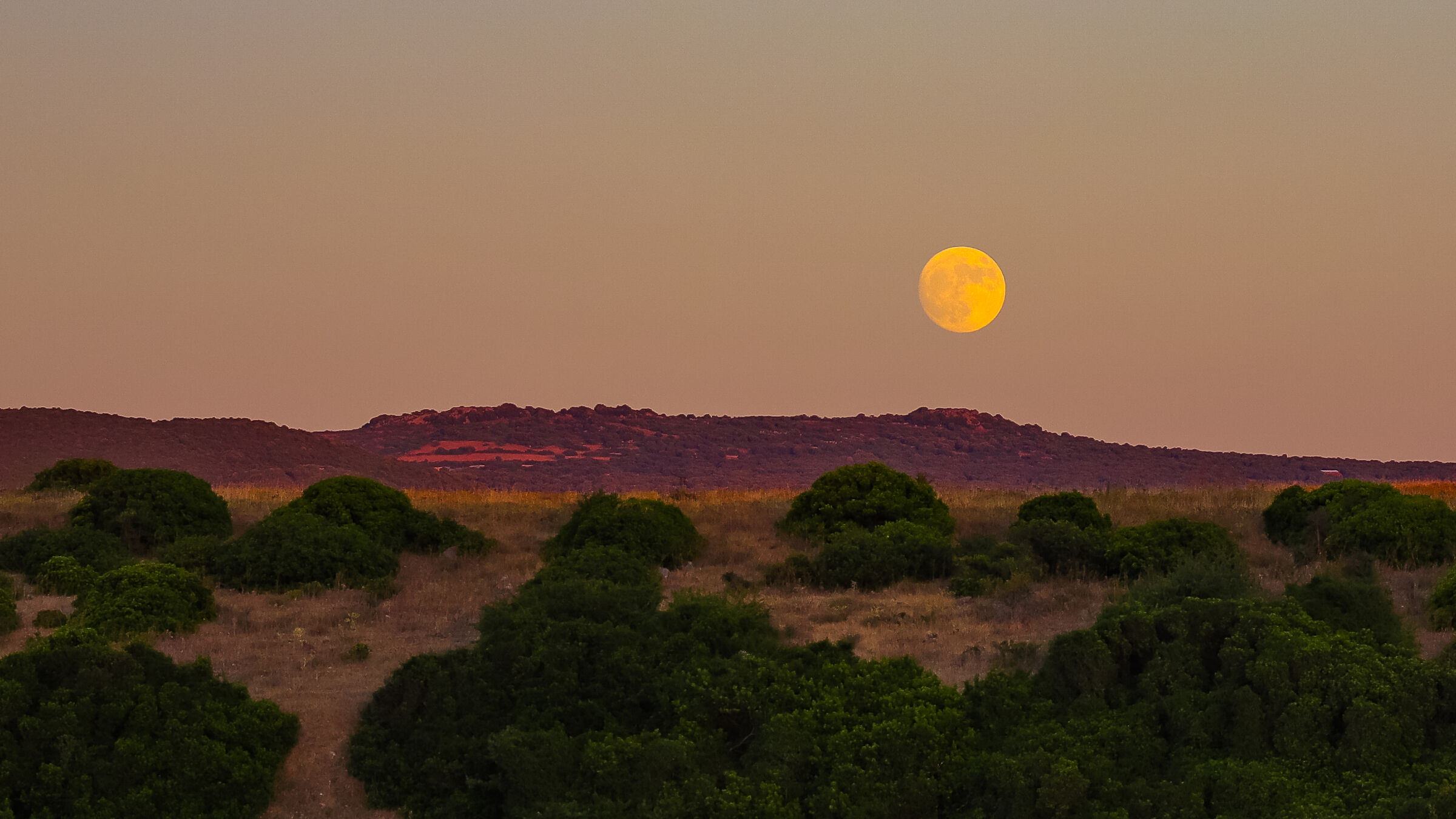 The Moon of the Deer