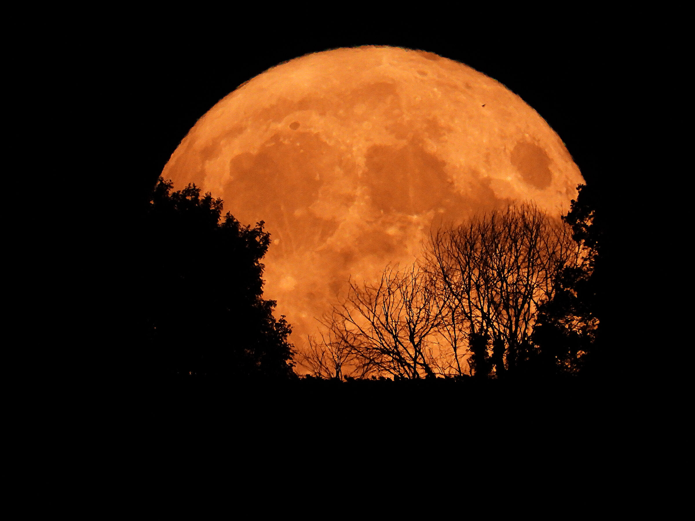 The moon of 14/07/2022 at 2000mm