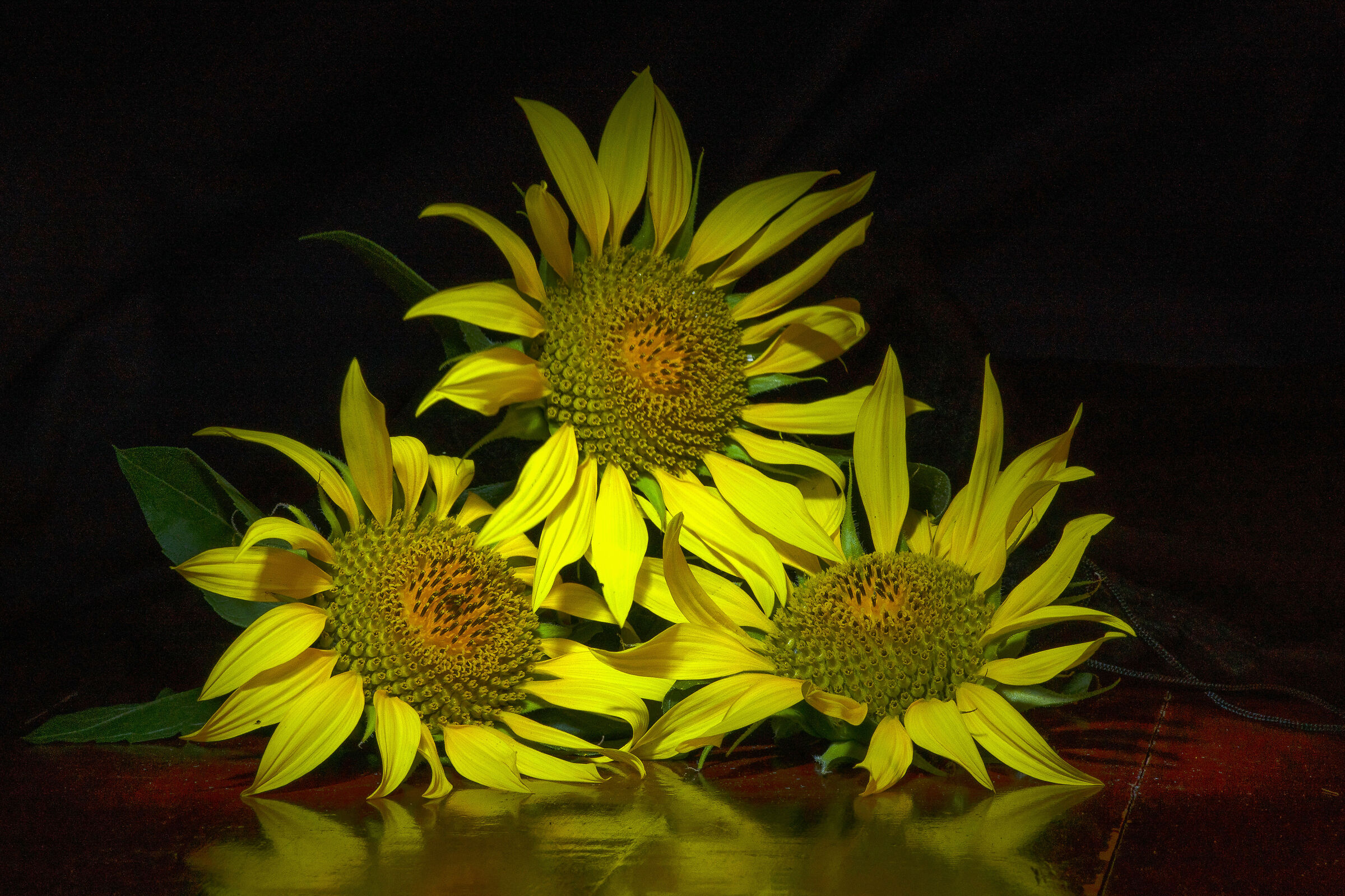 Sunflowers