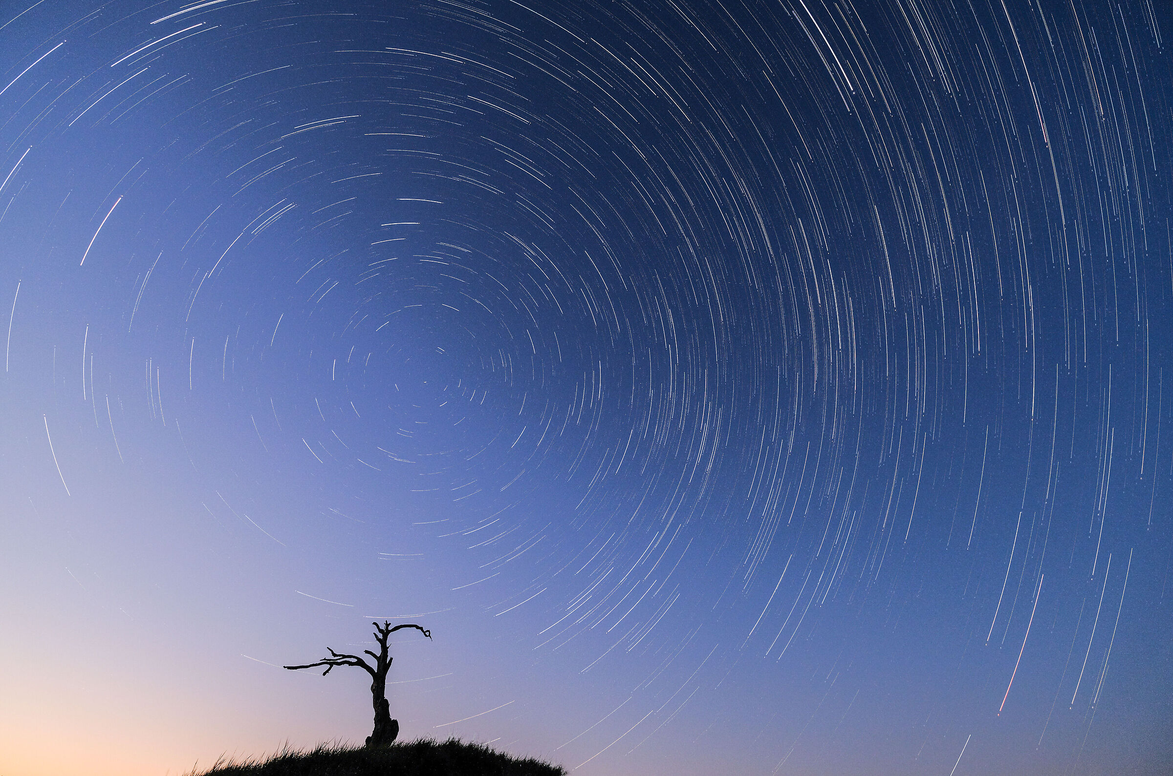 Notte stellata