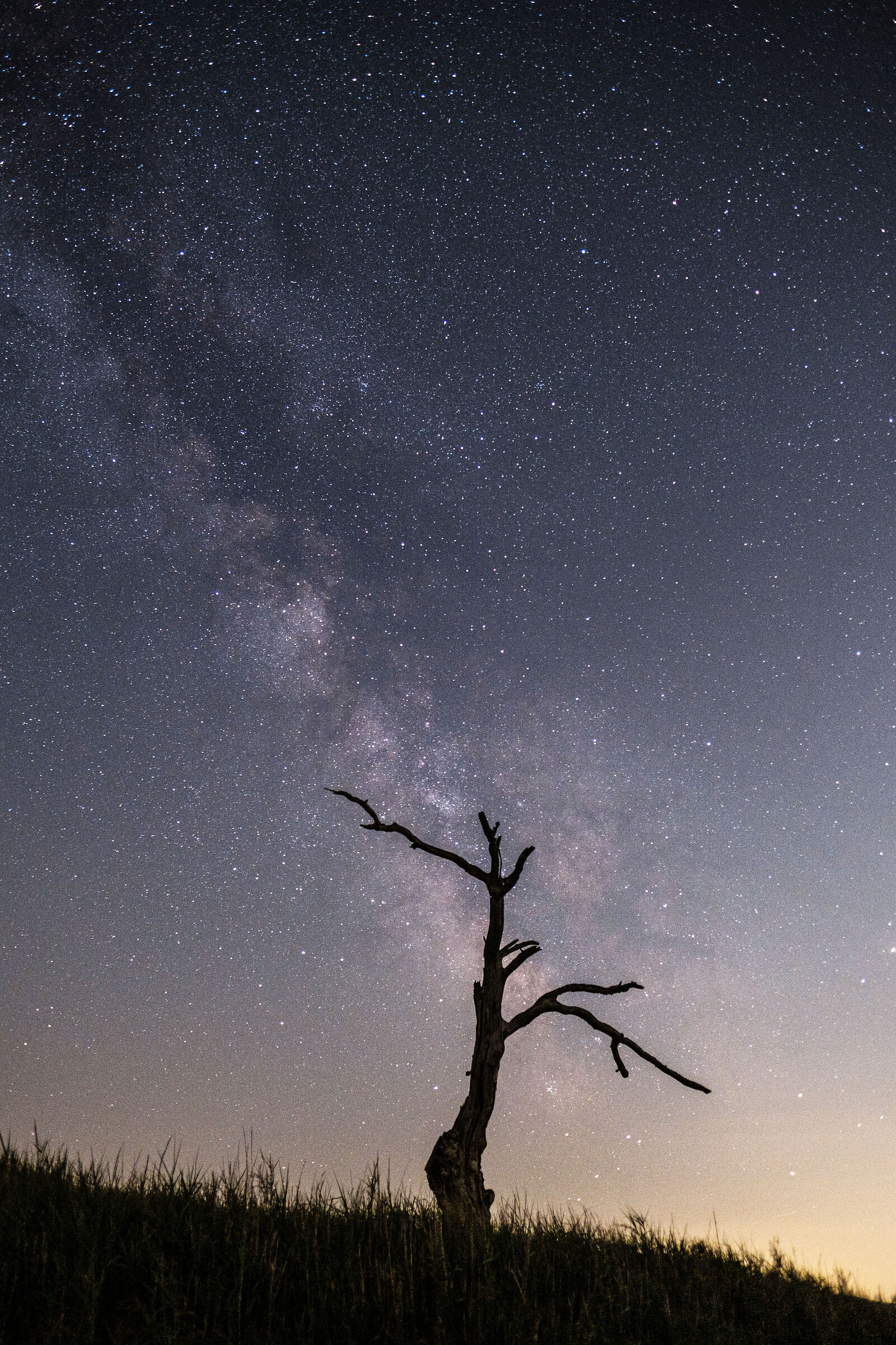 Sotto una pioggia di stelle