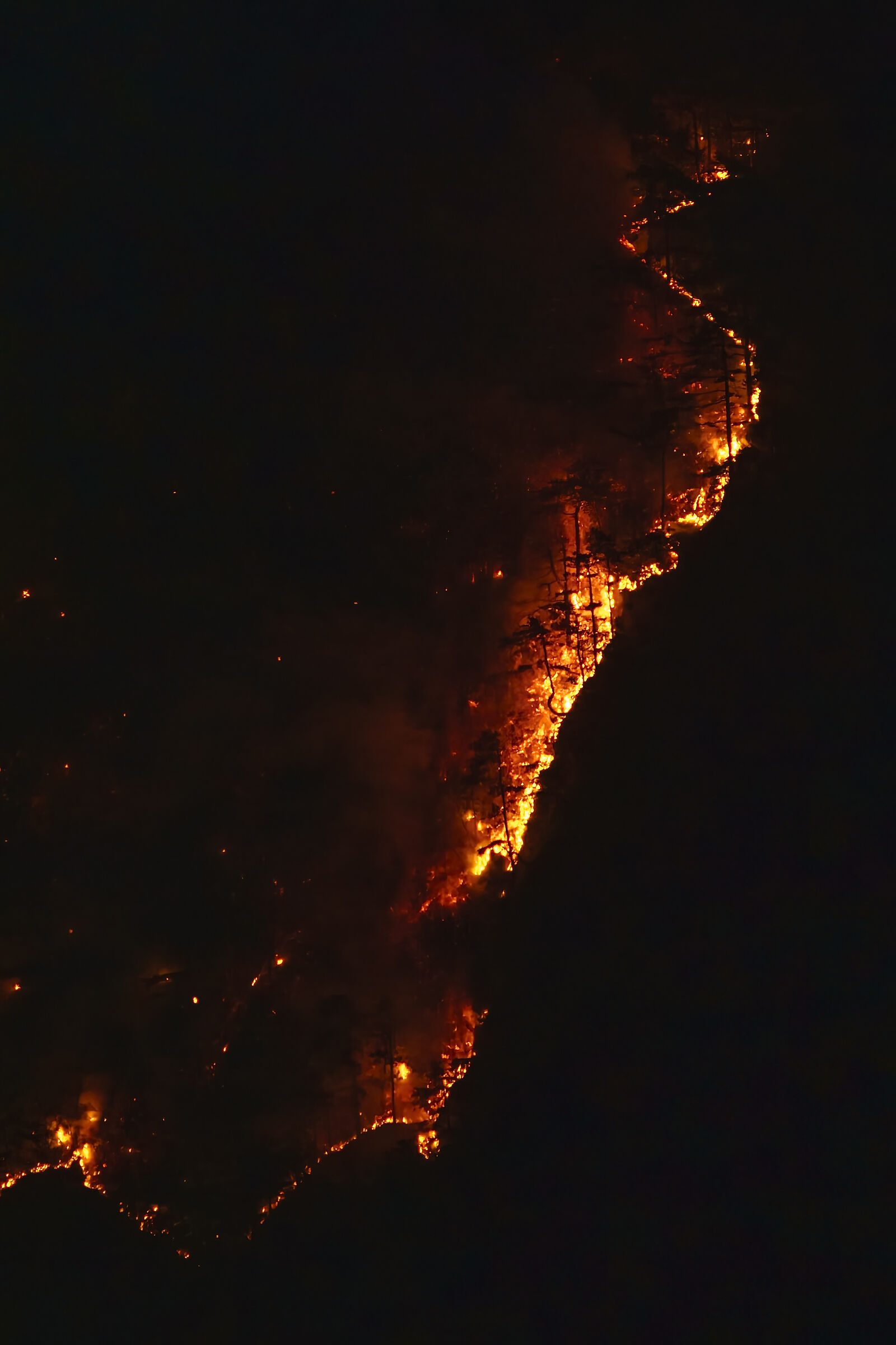 Incendio boschivo luglio 2022