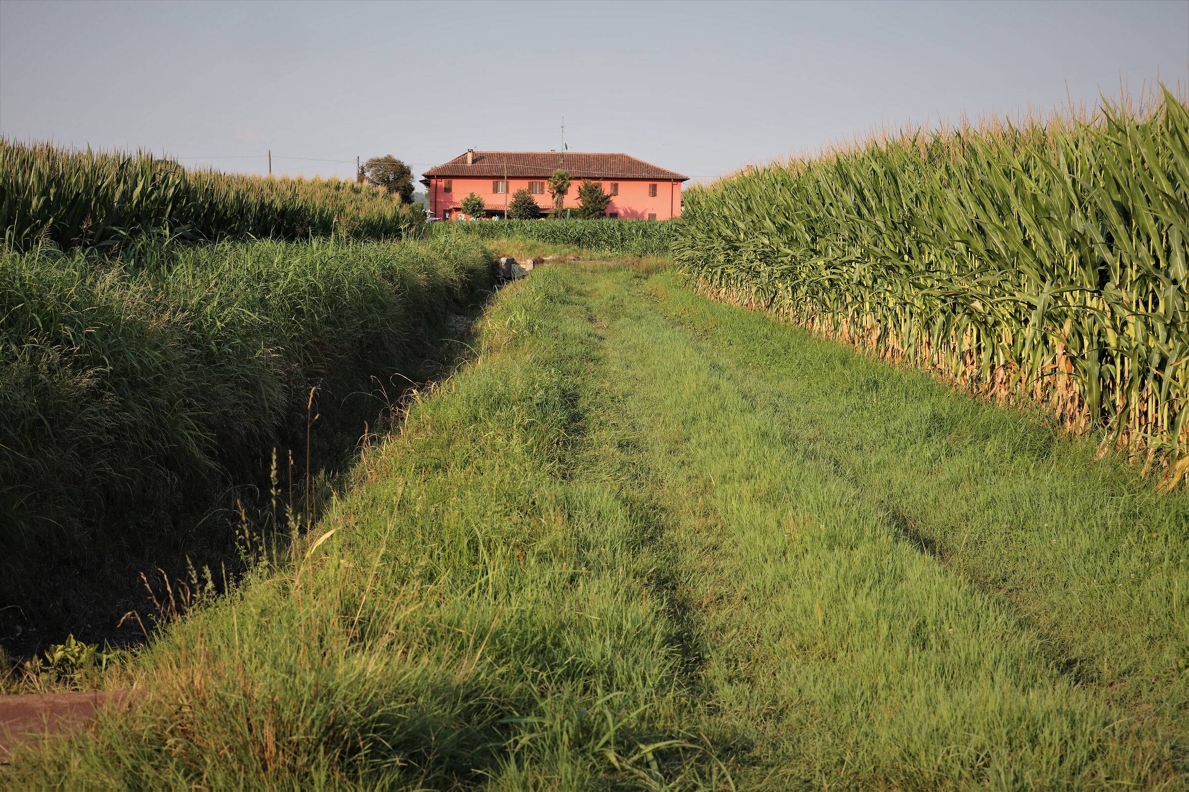 la casa di campagna