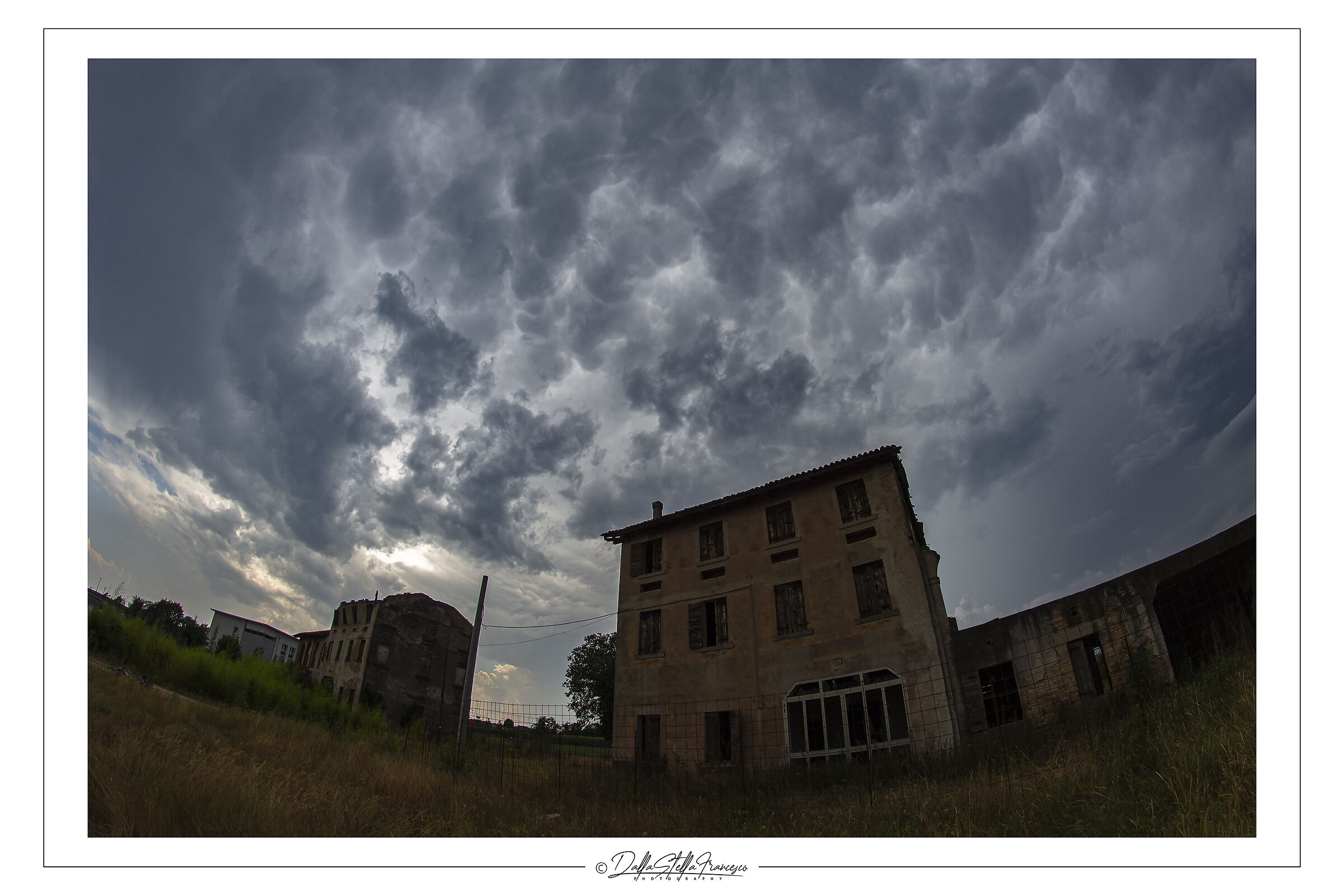 A carpet of mammatus