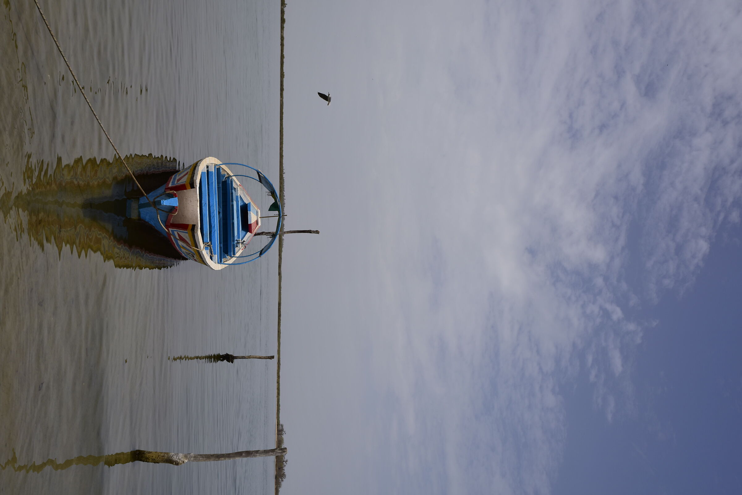 Senegal - Iles de saloum