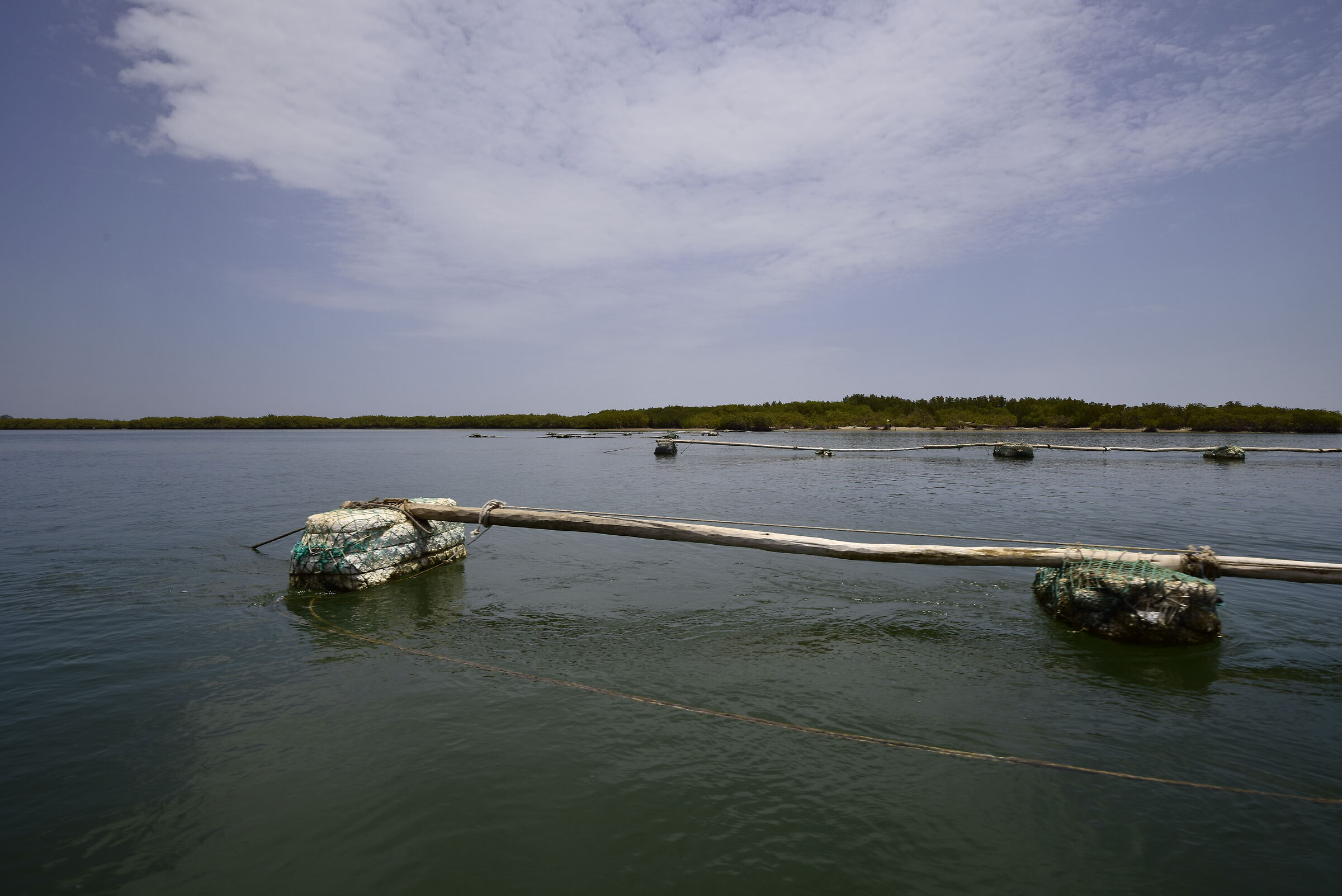In Senegal - Iles de Saloum