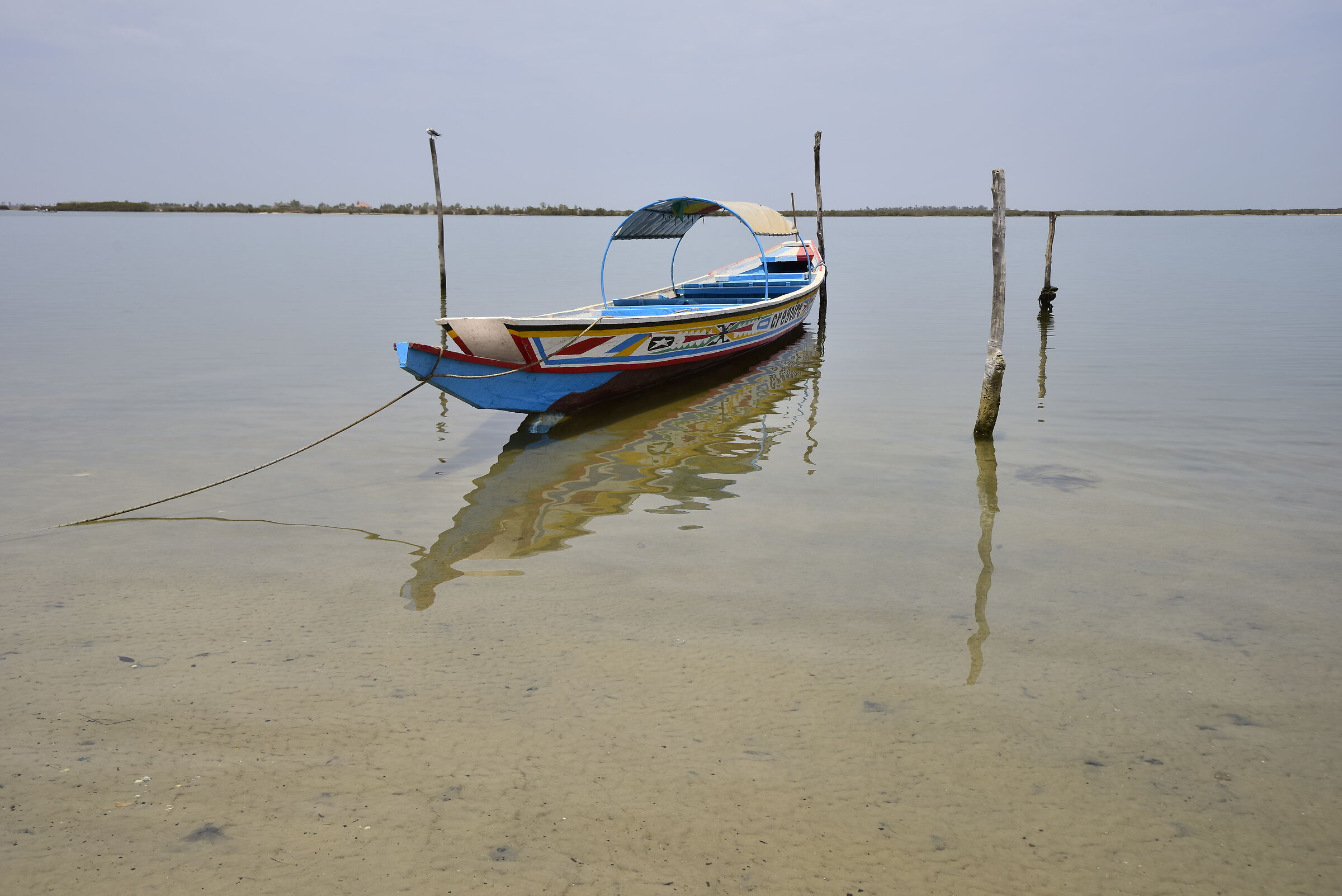 in Senegal - Iles de saloum