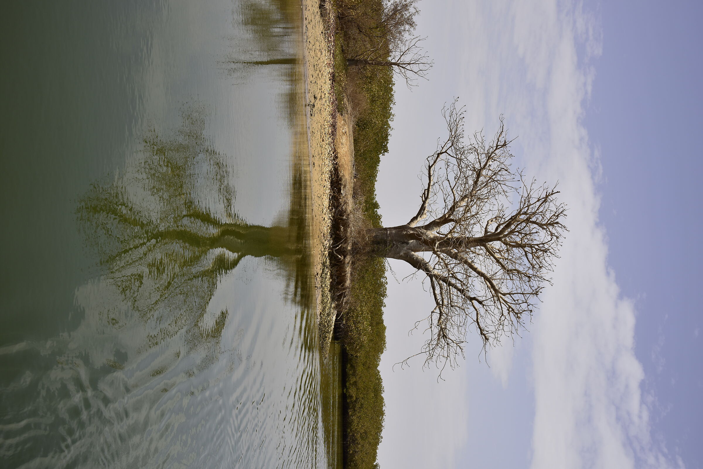in Senegal - Iles de saloum