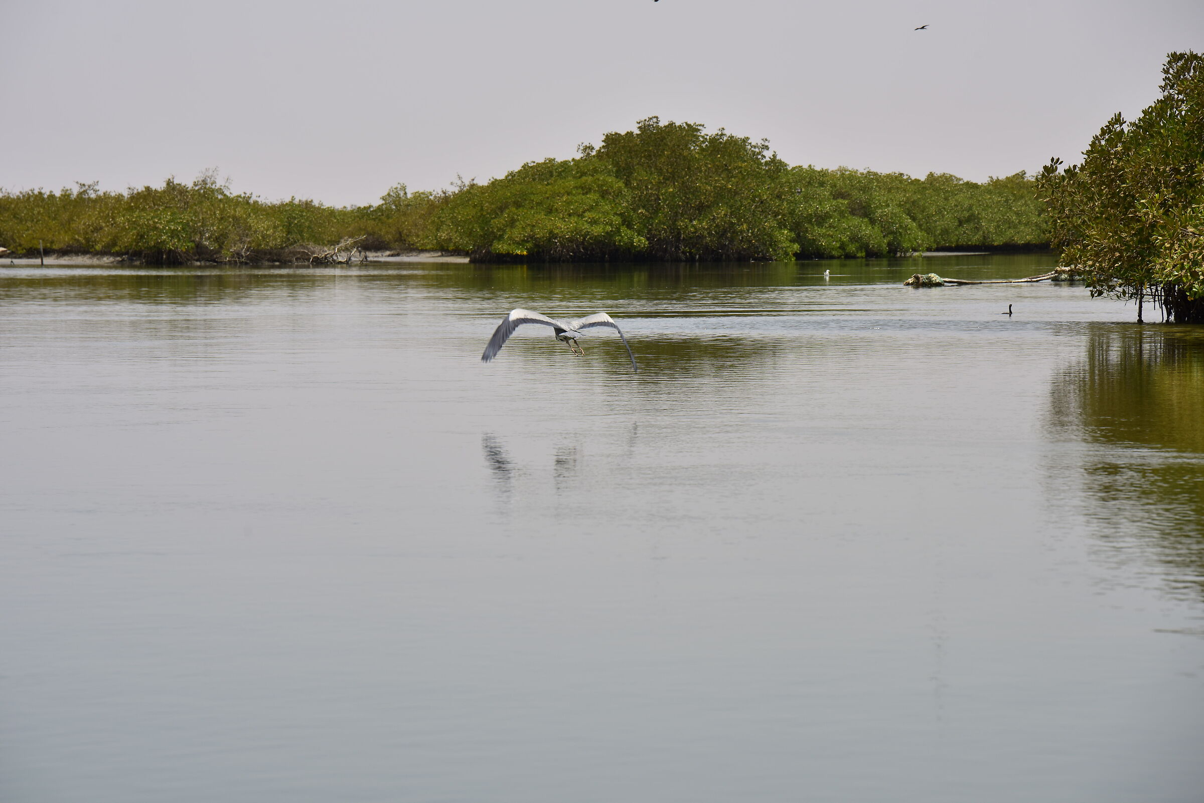 in Senegal - Iles de saloum