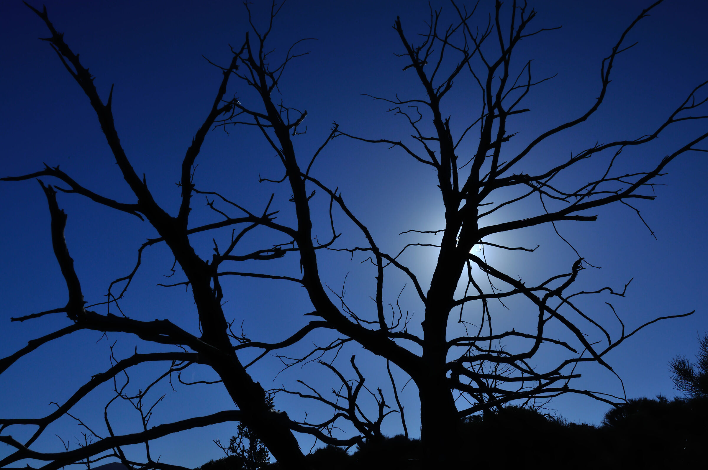 Martedì 26 luglio 1983  il fuoco investe Ingurtosu.