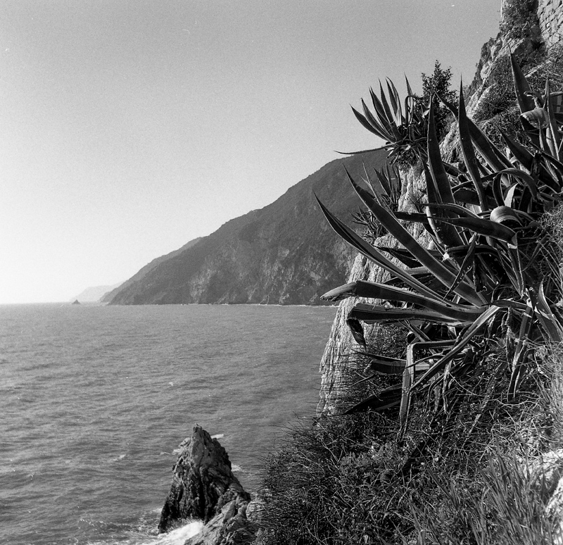 Cemetery of Porto Venere