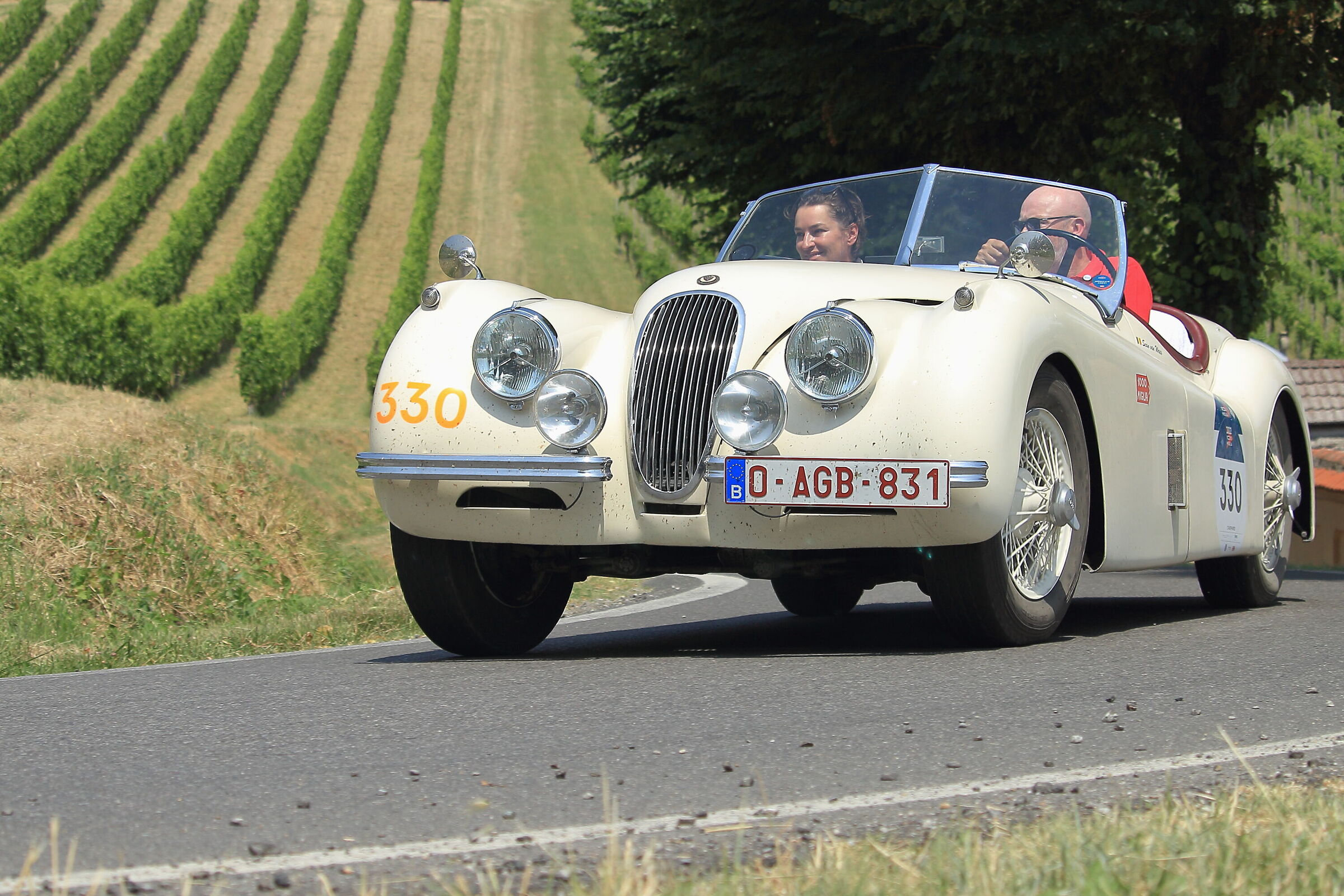 jaguar - xk120 ots se roadster - 1954