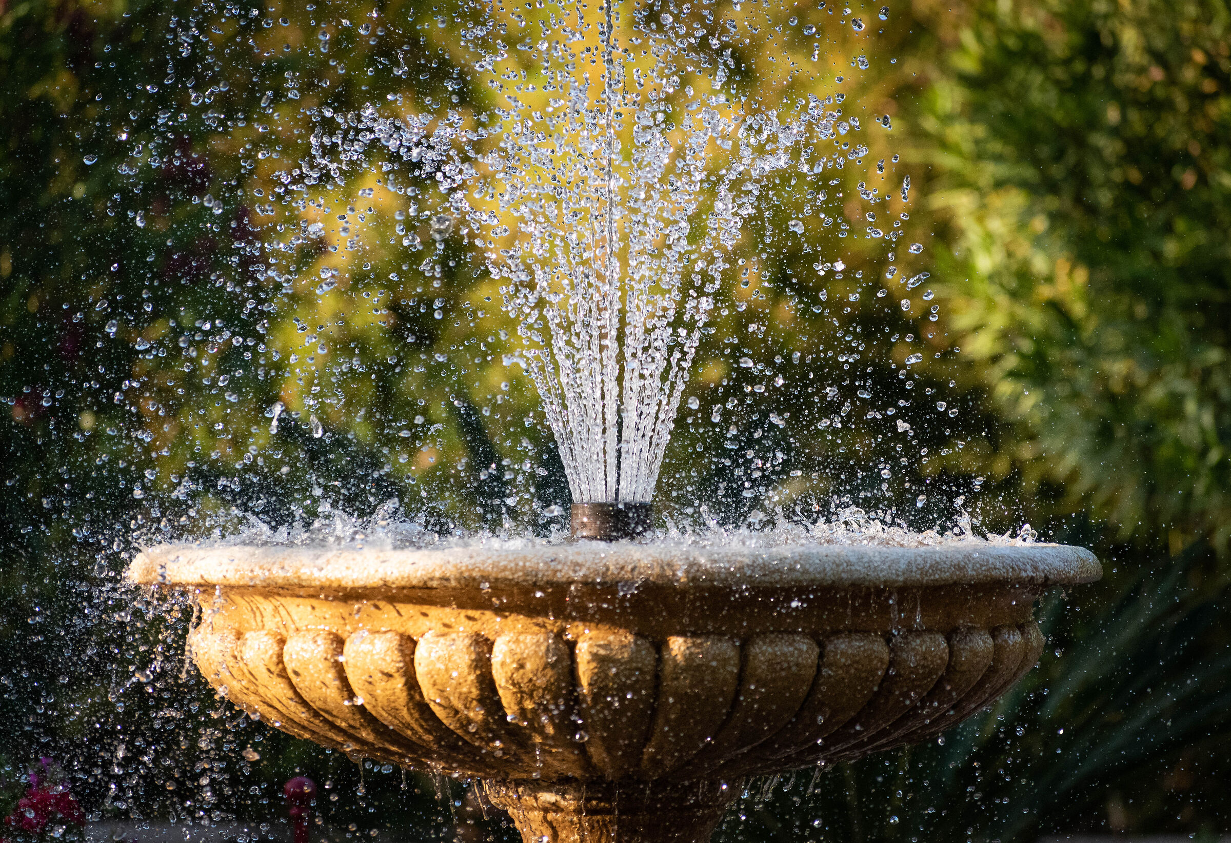 The simple beauty of "sister" water