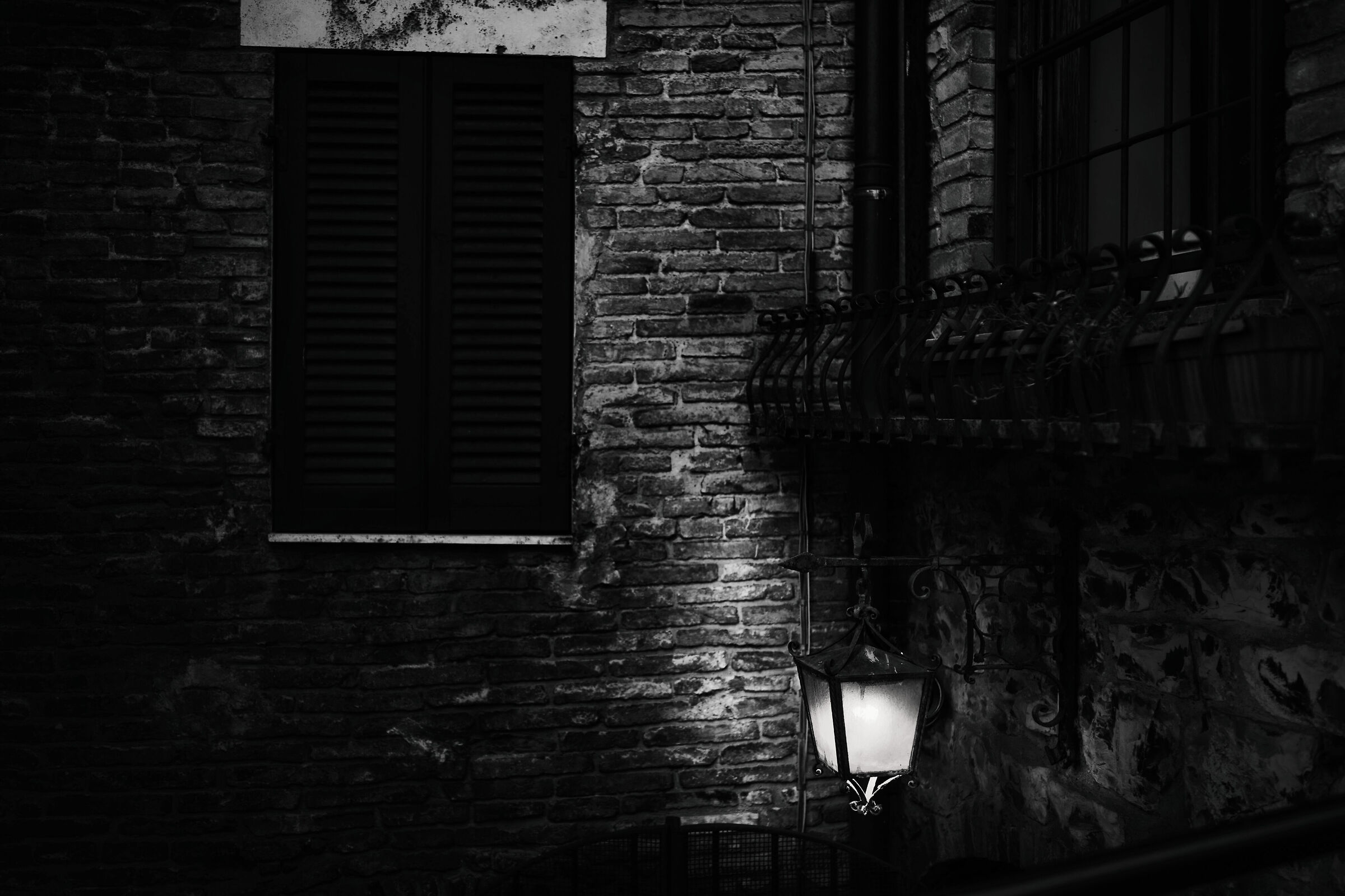 Untitled Photo