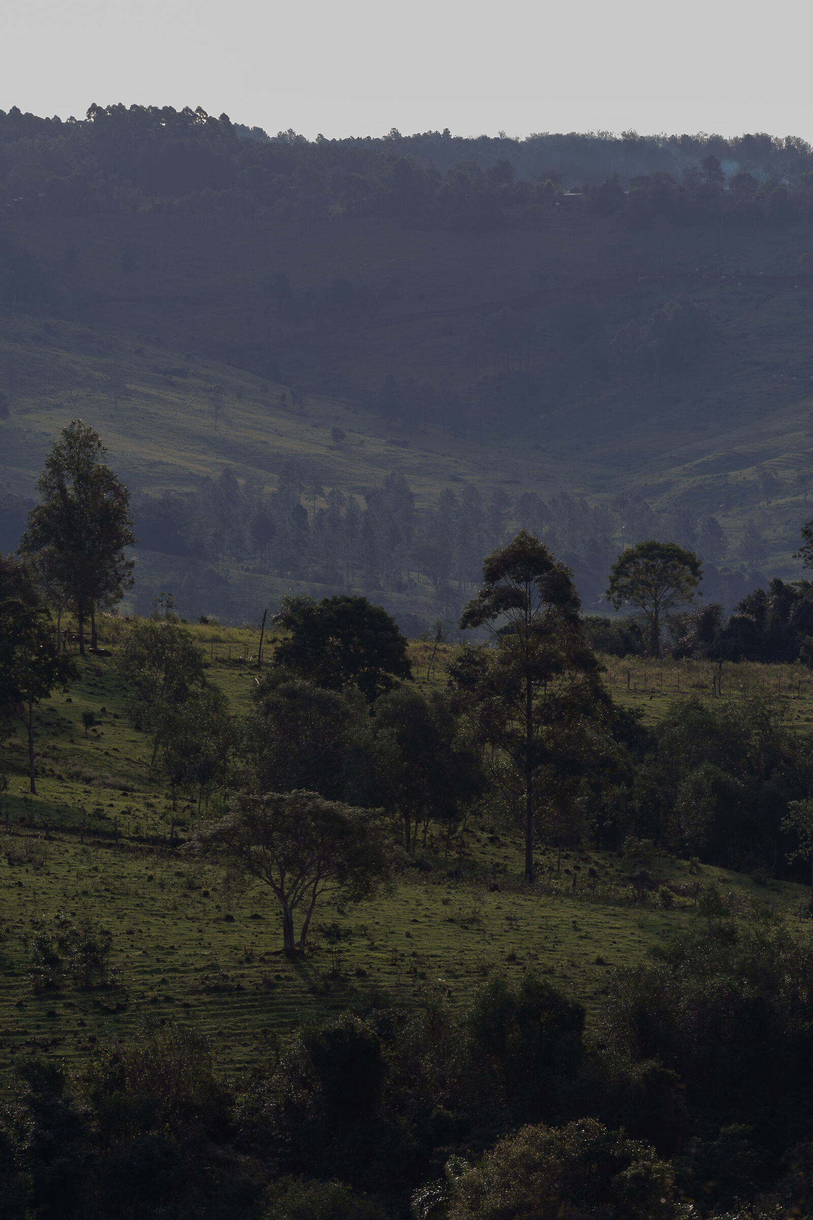 Vistas desde el Cerro Mbororé 1 -Misiones, Argentina-