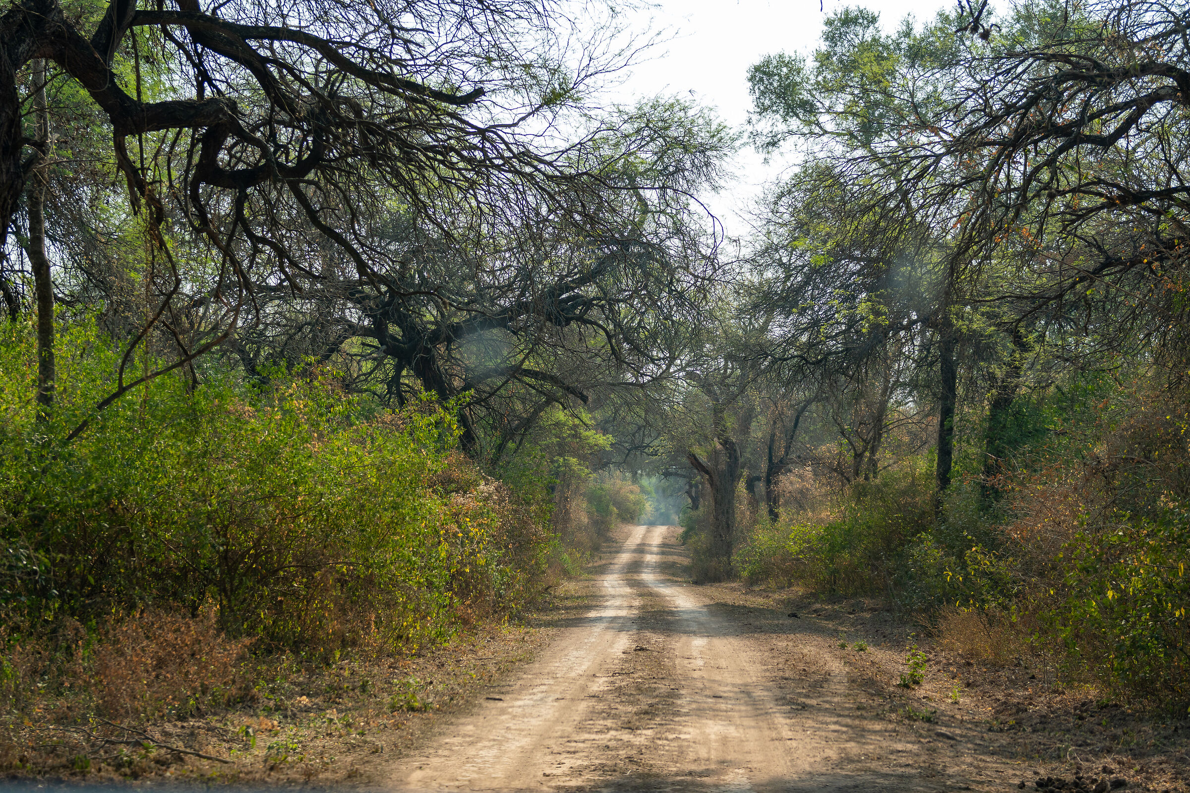 Parque Nacional El Impenetrable 1