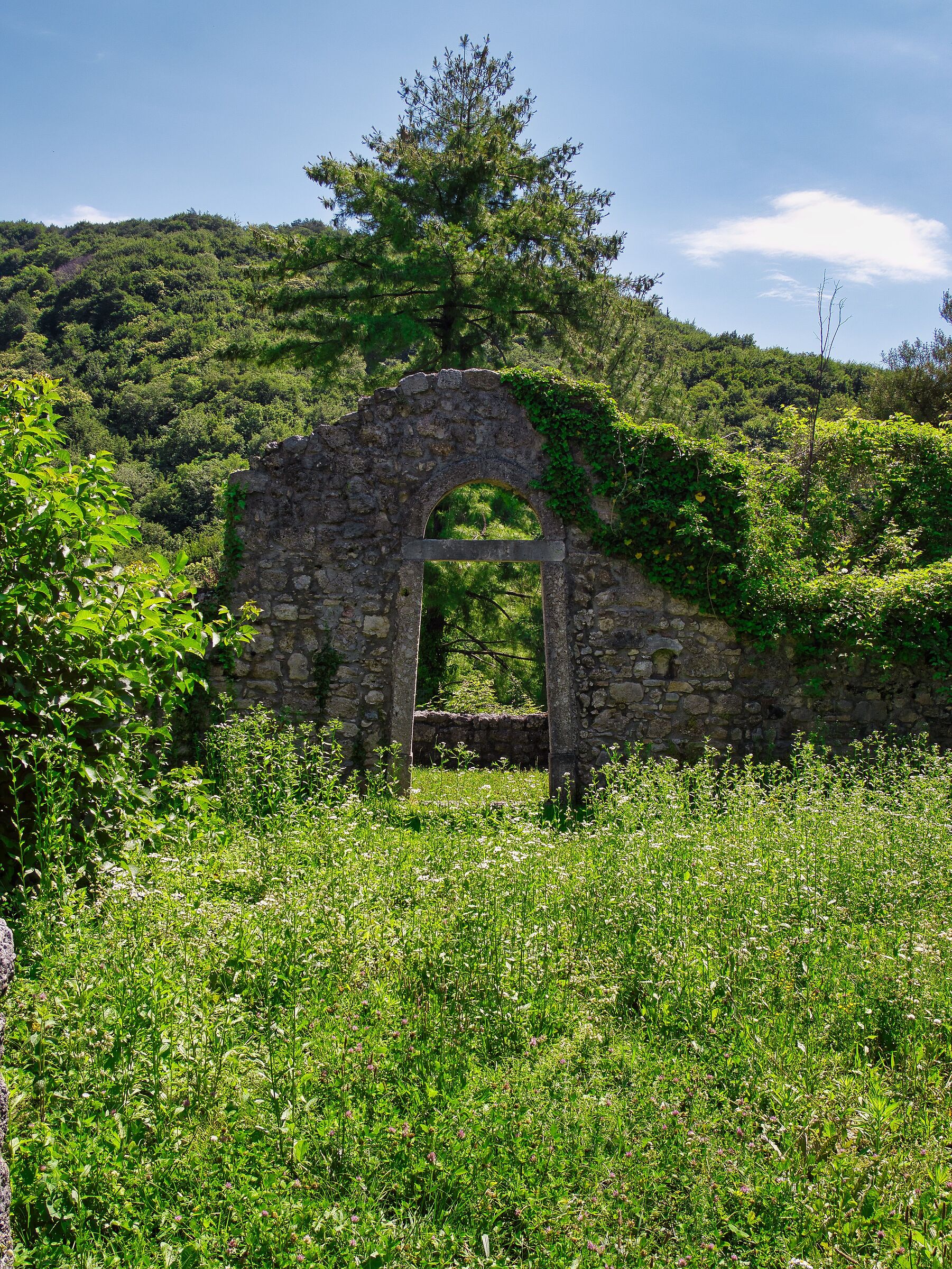 Door to nowhere 1