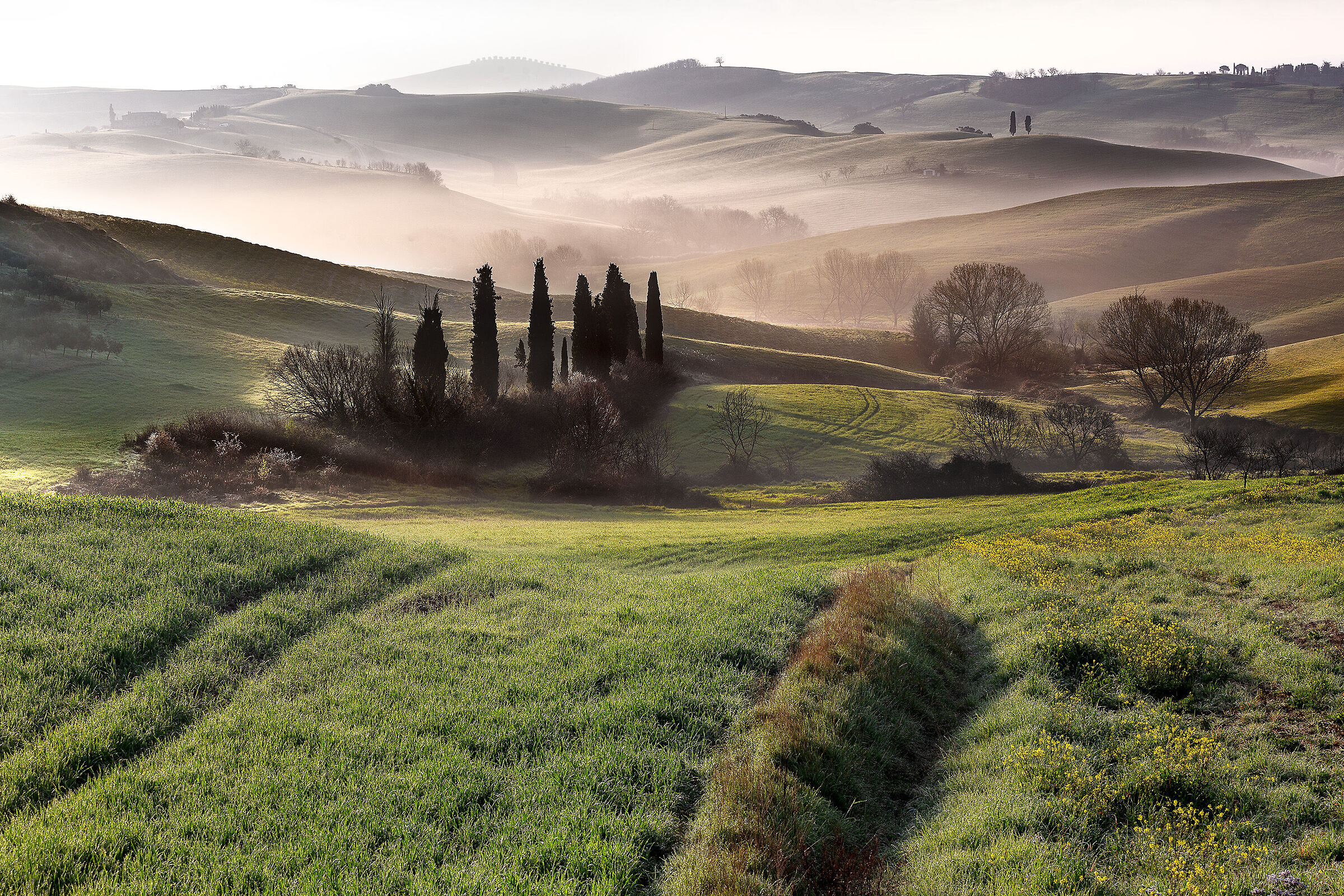 San Quirico:Campagna Senese
