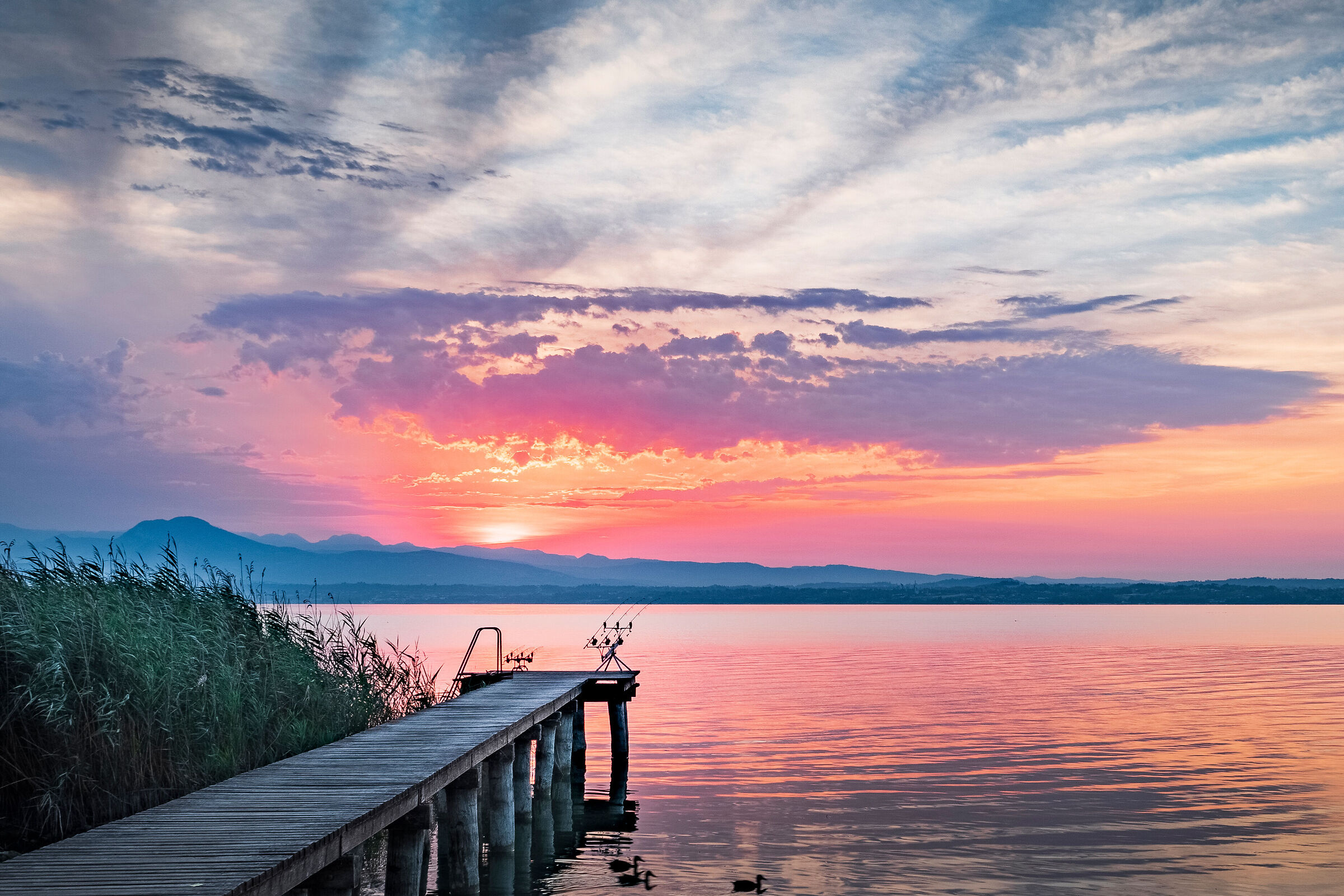 Chi dorme non piglia pesci