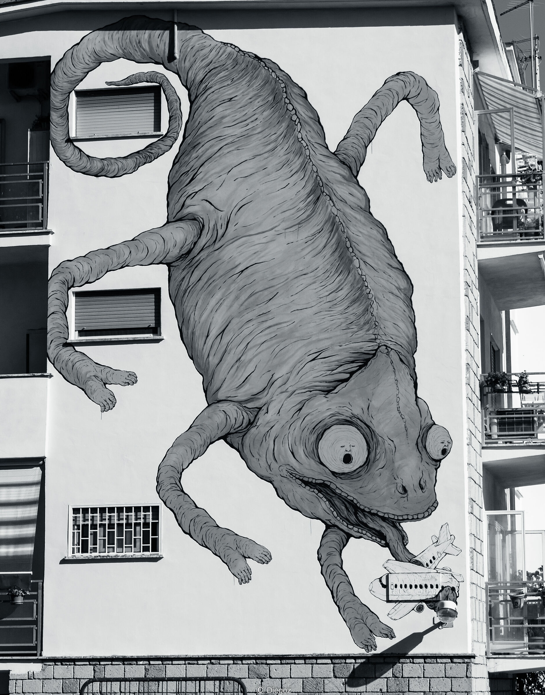 camaleonte degli aerei