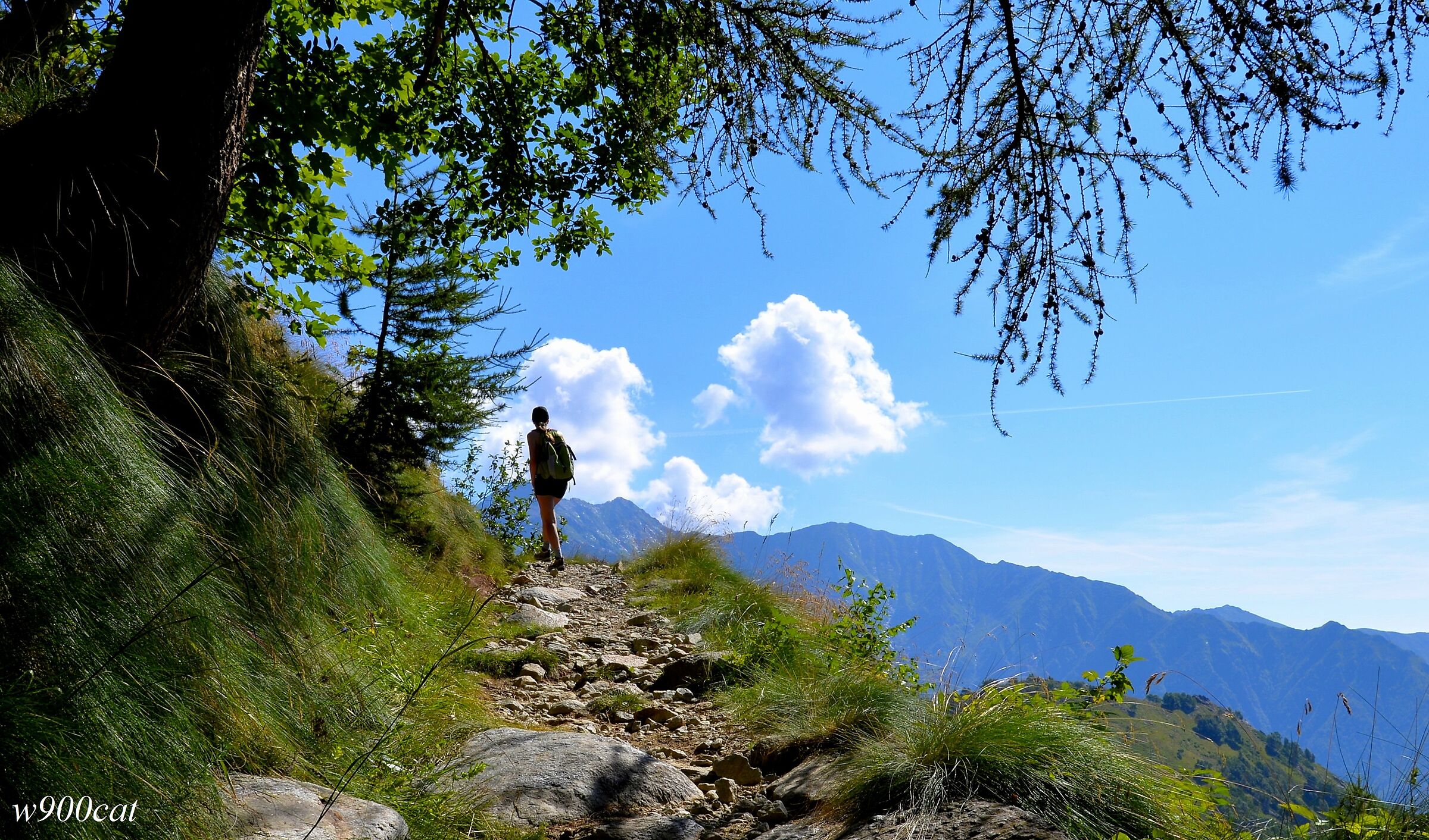 Lasciami andare su per le mie montagne