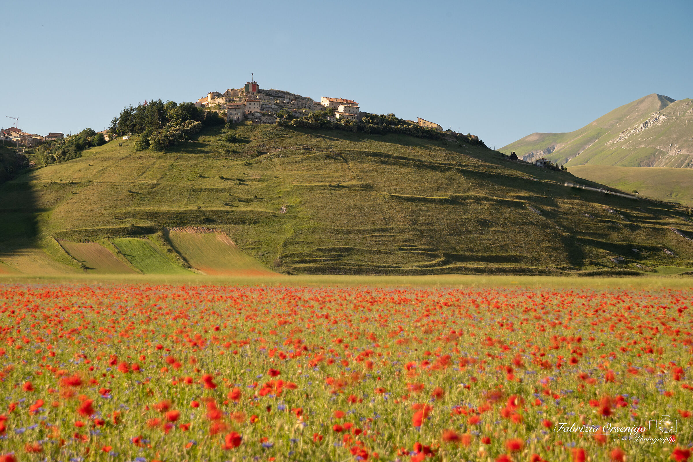 Ondeggiando nel vento