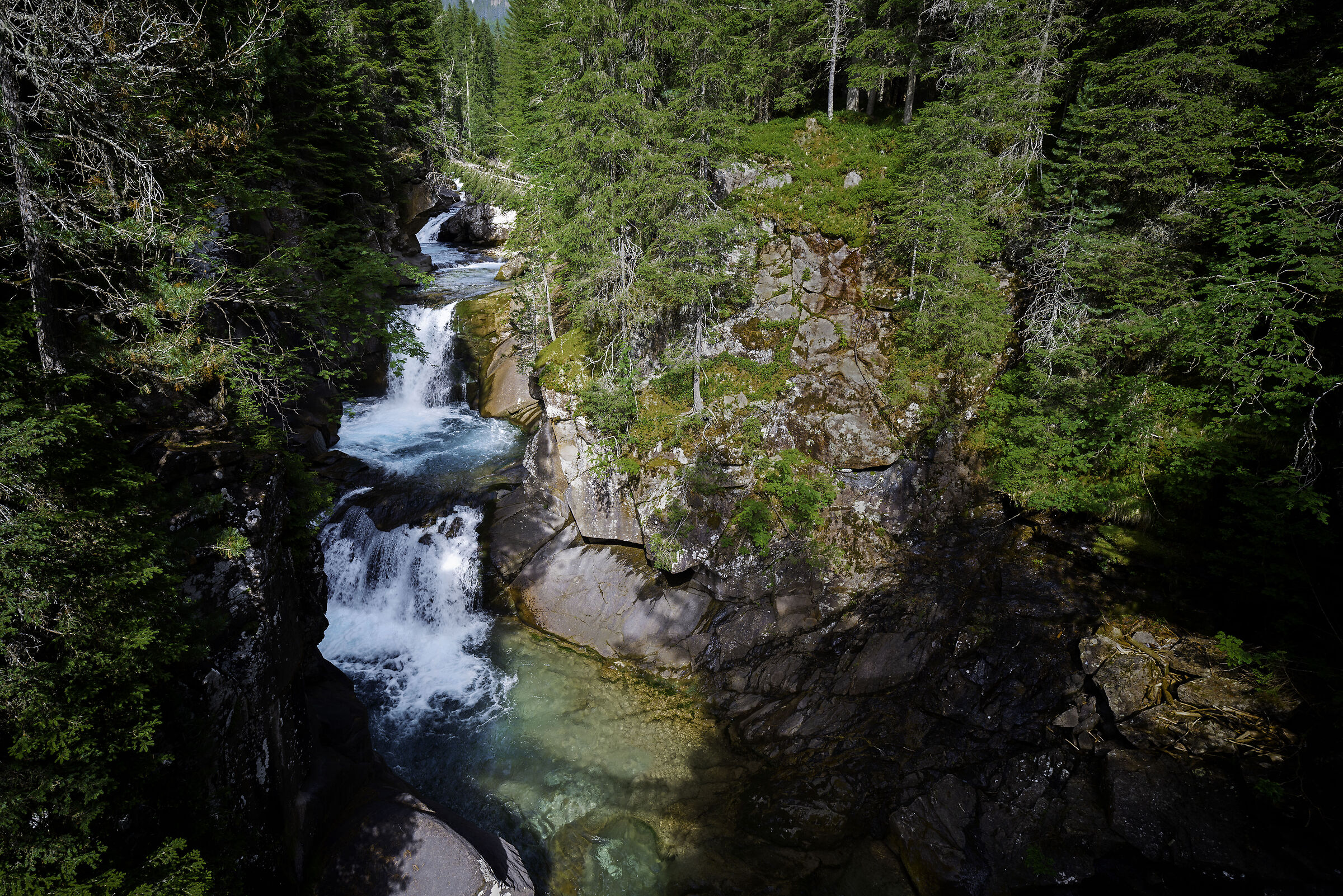 The gorge of Travignolo in Paneveggio