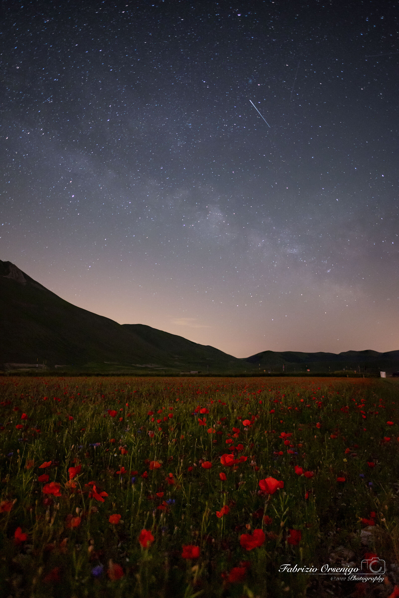 Esprimi un desiderio